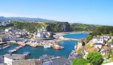 Oferta especial - Reventa - Valdes - ALG-89313