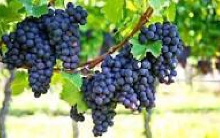 Oсобое предложение - Вторичное жилье - Bullas - La Copa