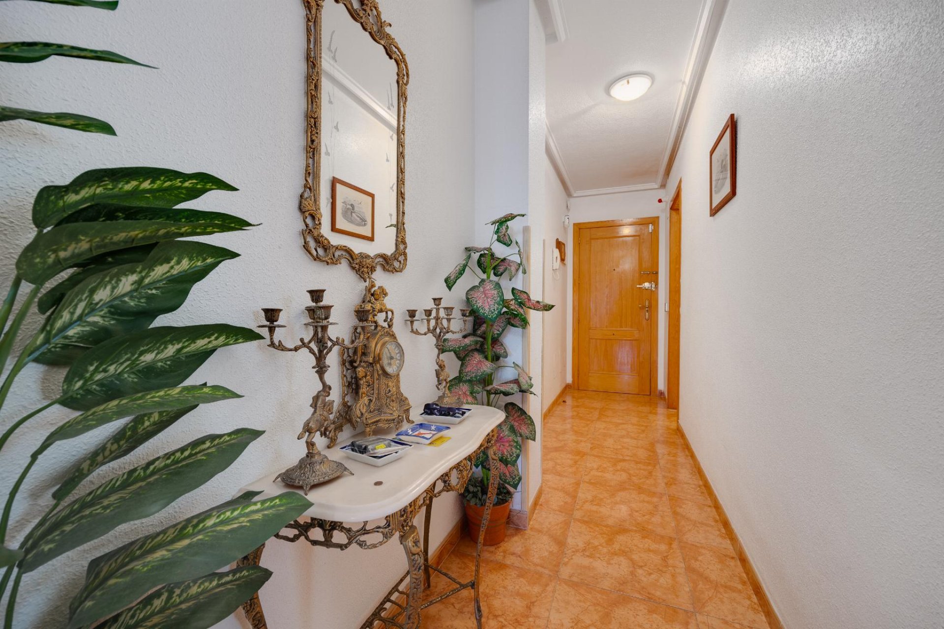 Resale - Apartamento - Torrevieja - Centro