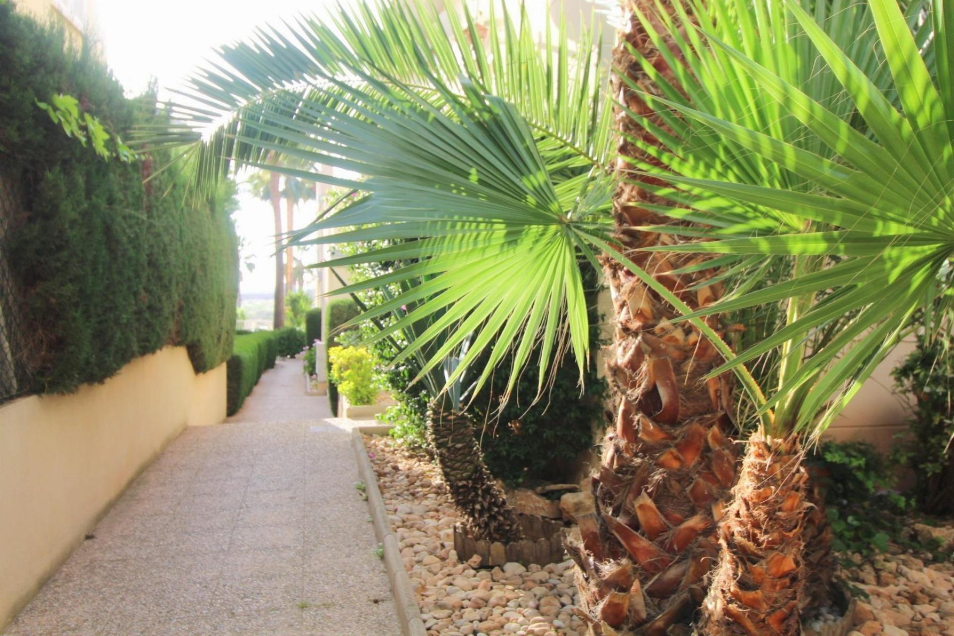 Resale - Apartamento - Torrevieja - La veleta