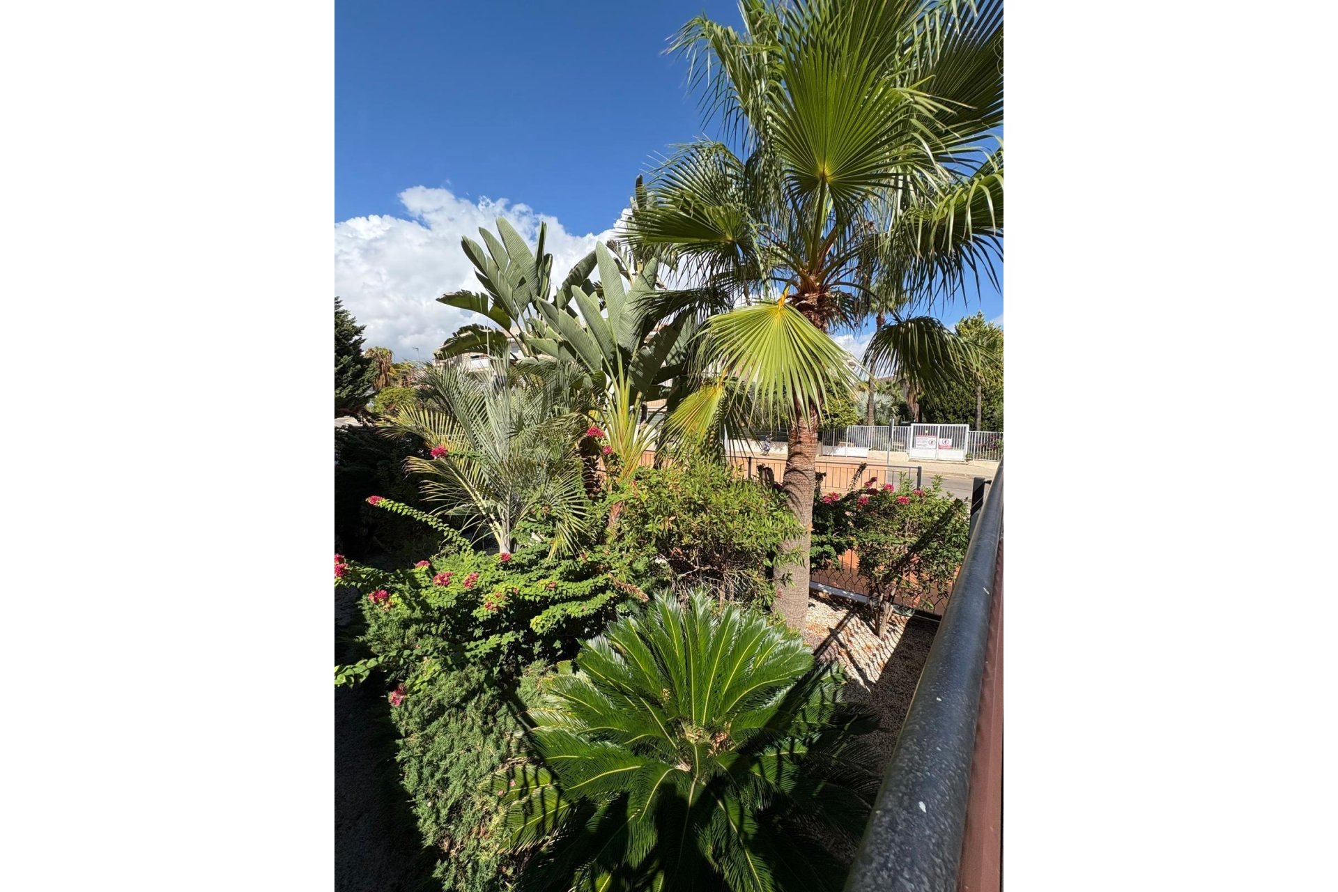 Resale - Apartment - Águilas - Collados