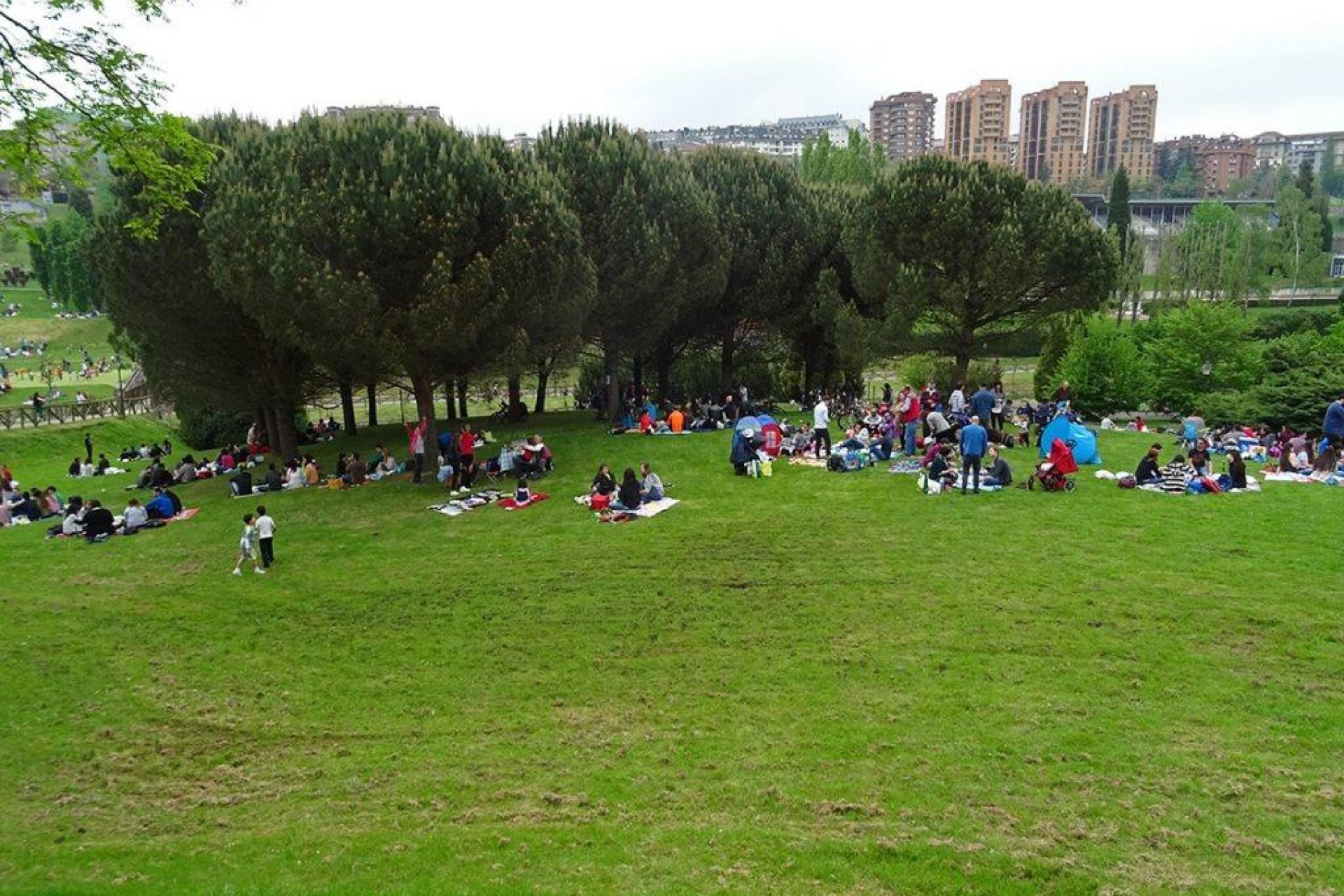 Resale - Apartment - Oviedo - Auditorio-Seminario-Parque de Invierno