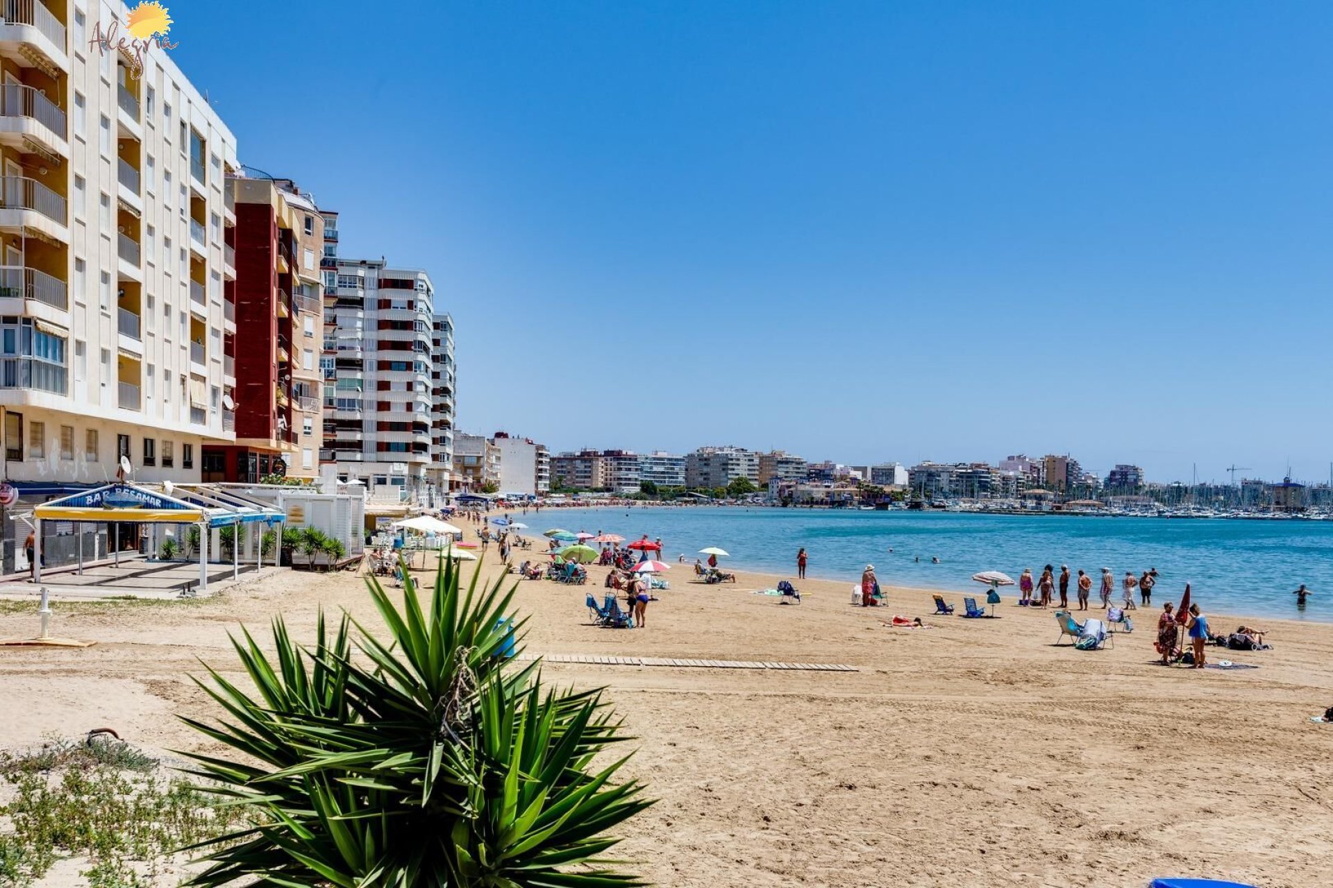 Resale - Apartment - Torrevieja - Acequion