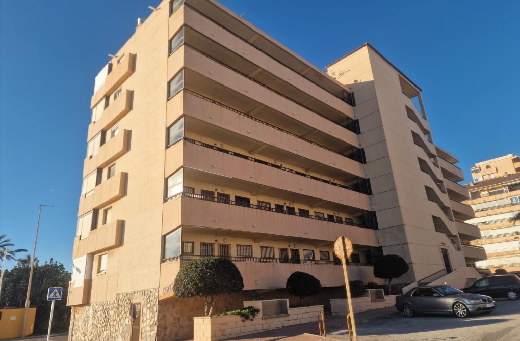 Resale - Apartment - Torrevieja - Cabo cervera