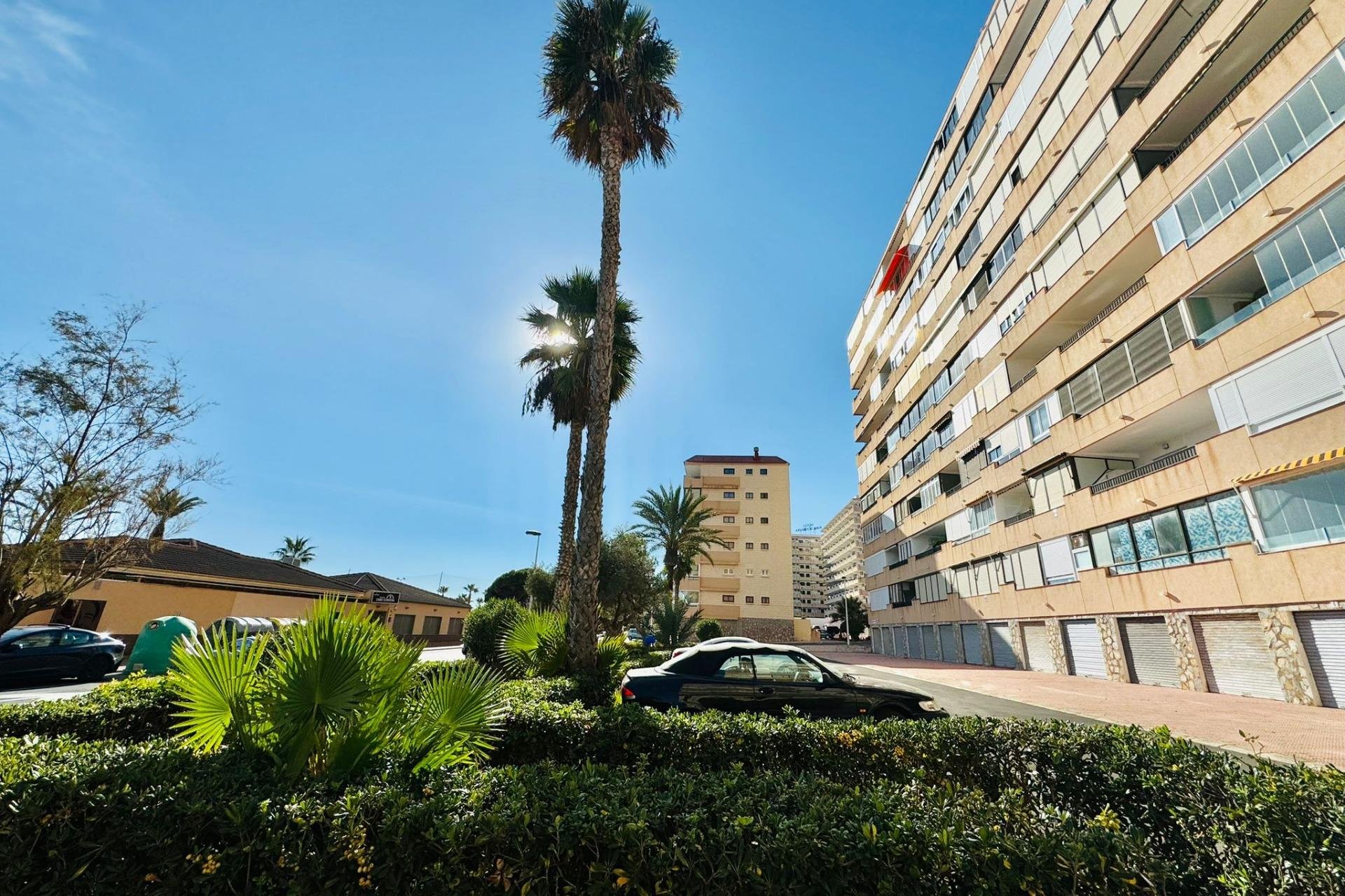 Resale - Apartment - Torrevieja - Cabo cervera