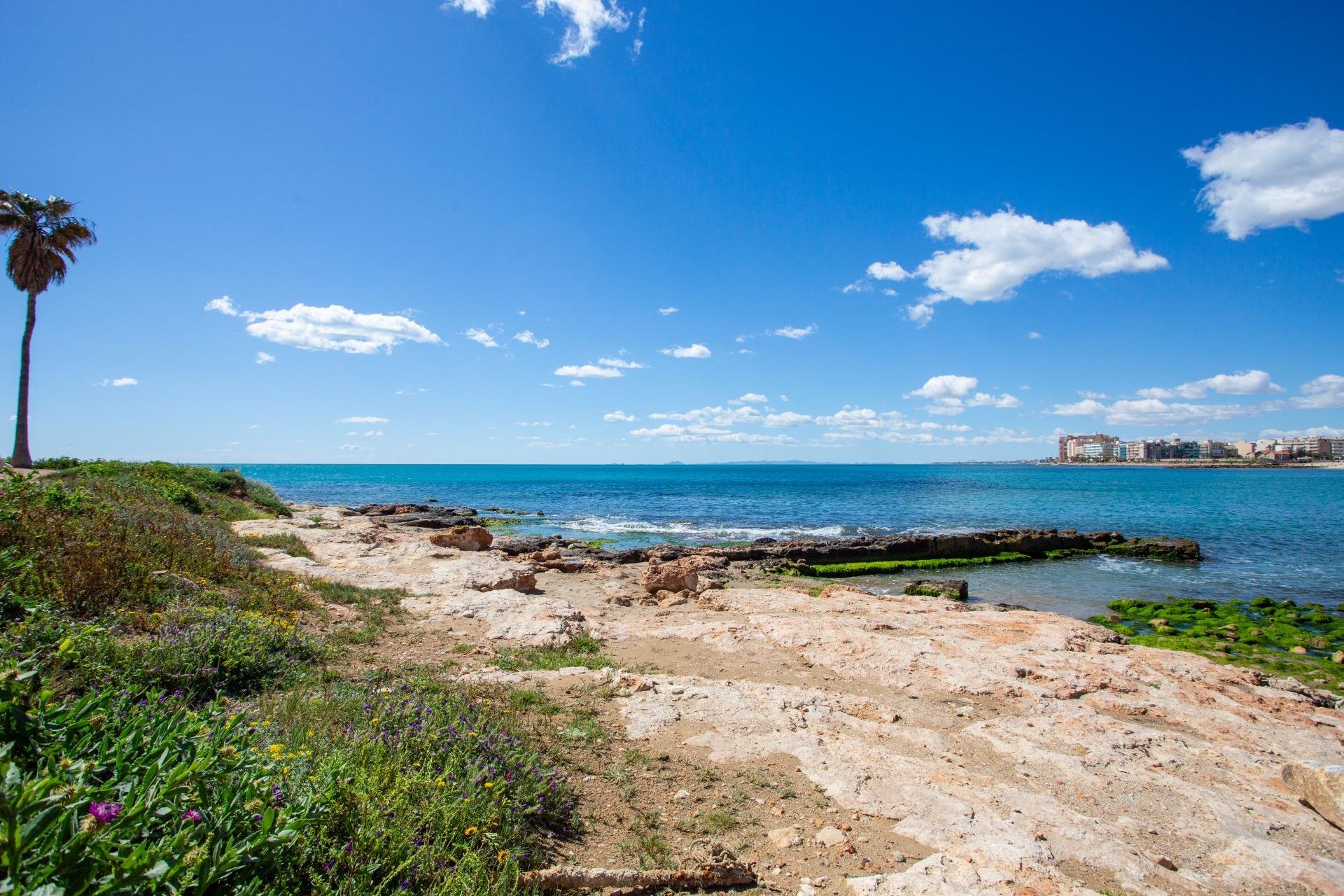 Resale - Apartment - Torrevieja - Centro - Muelle Pesquero