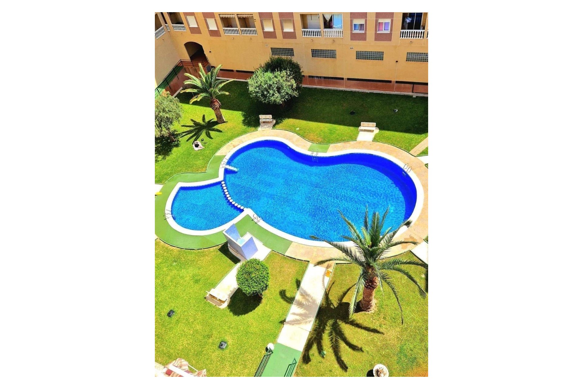 Resale - Apartment - Torrevieja - Parque las naciones