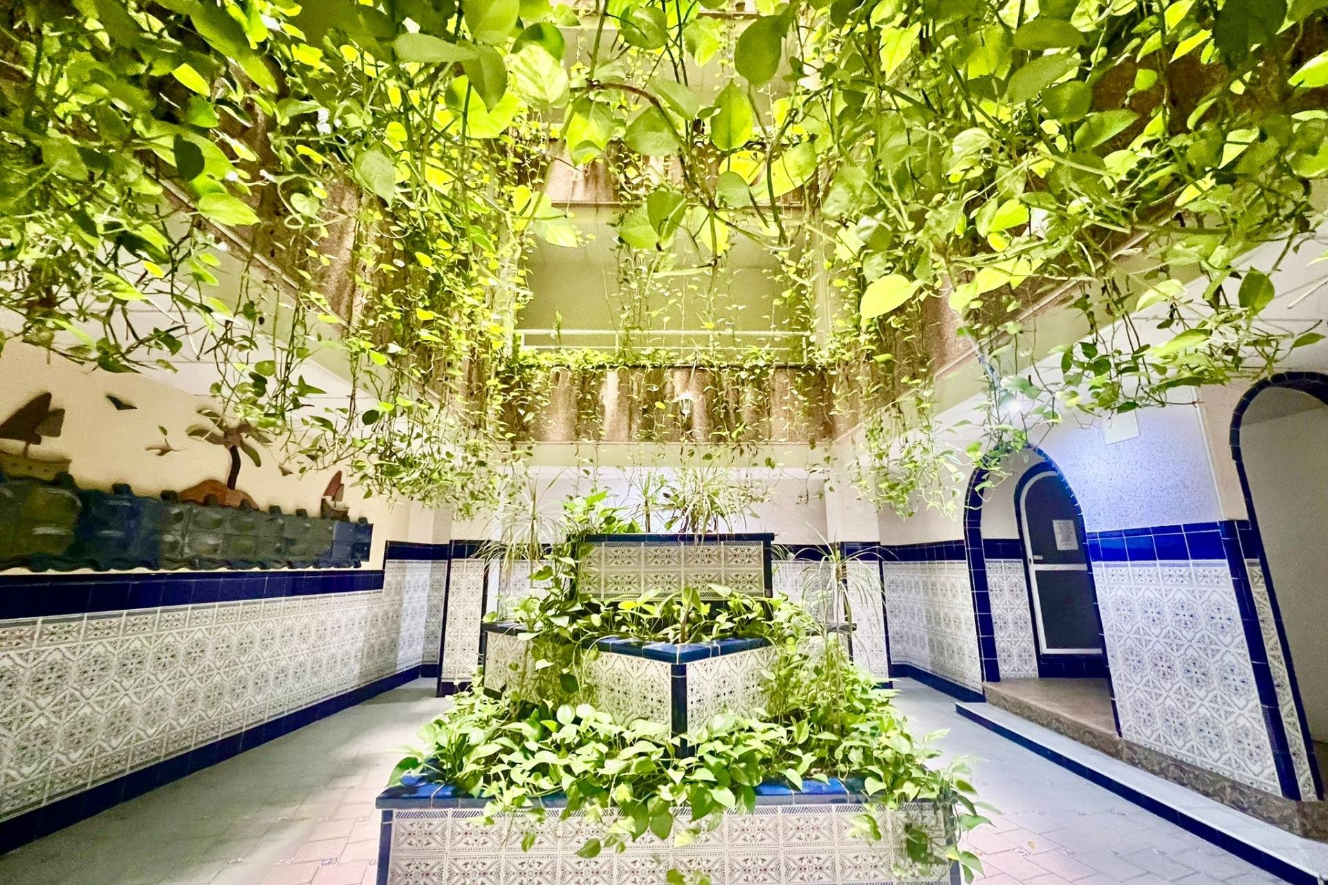 Resale - Apartment - Torrevieja - Playa del cura