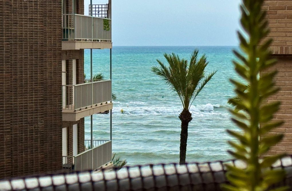 Resale - Apartment - Torrevieja - Playa del Cura