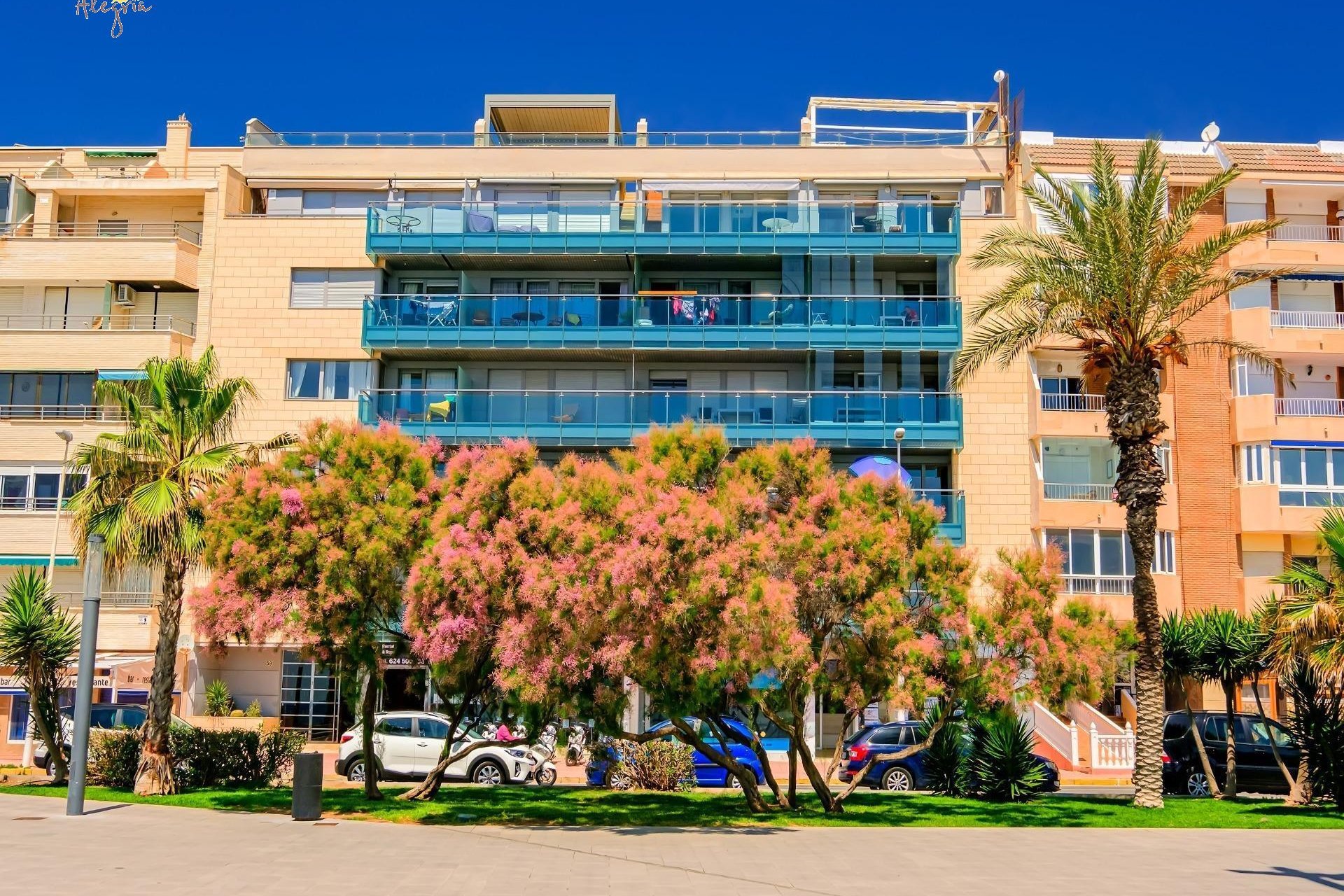 Resale - Apartment - Torrevieja - Playa del cura