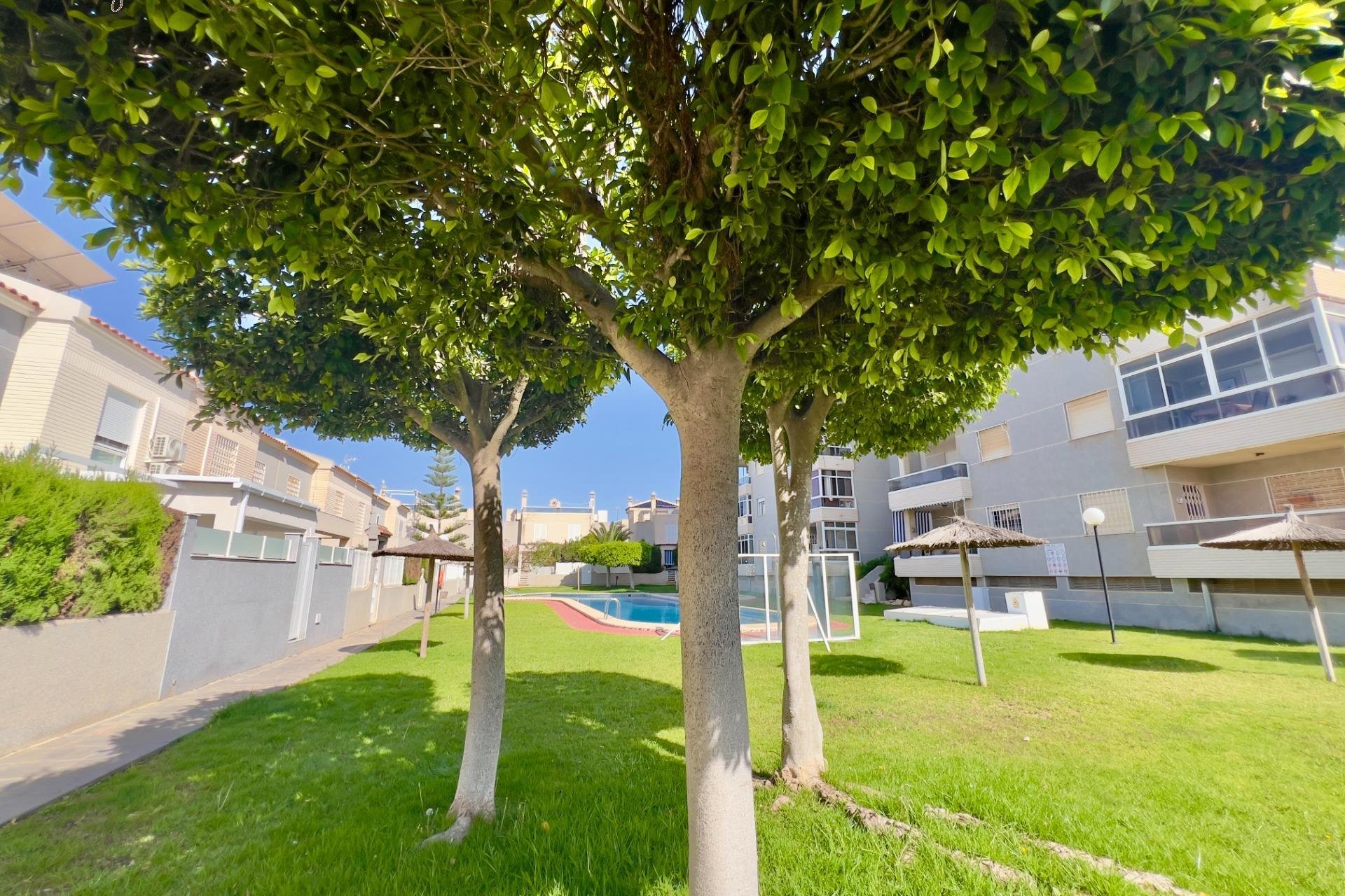 Resale - Apartment - Torrevieja - Torreblanca