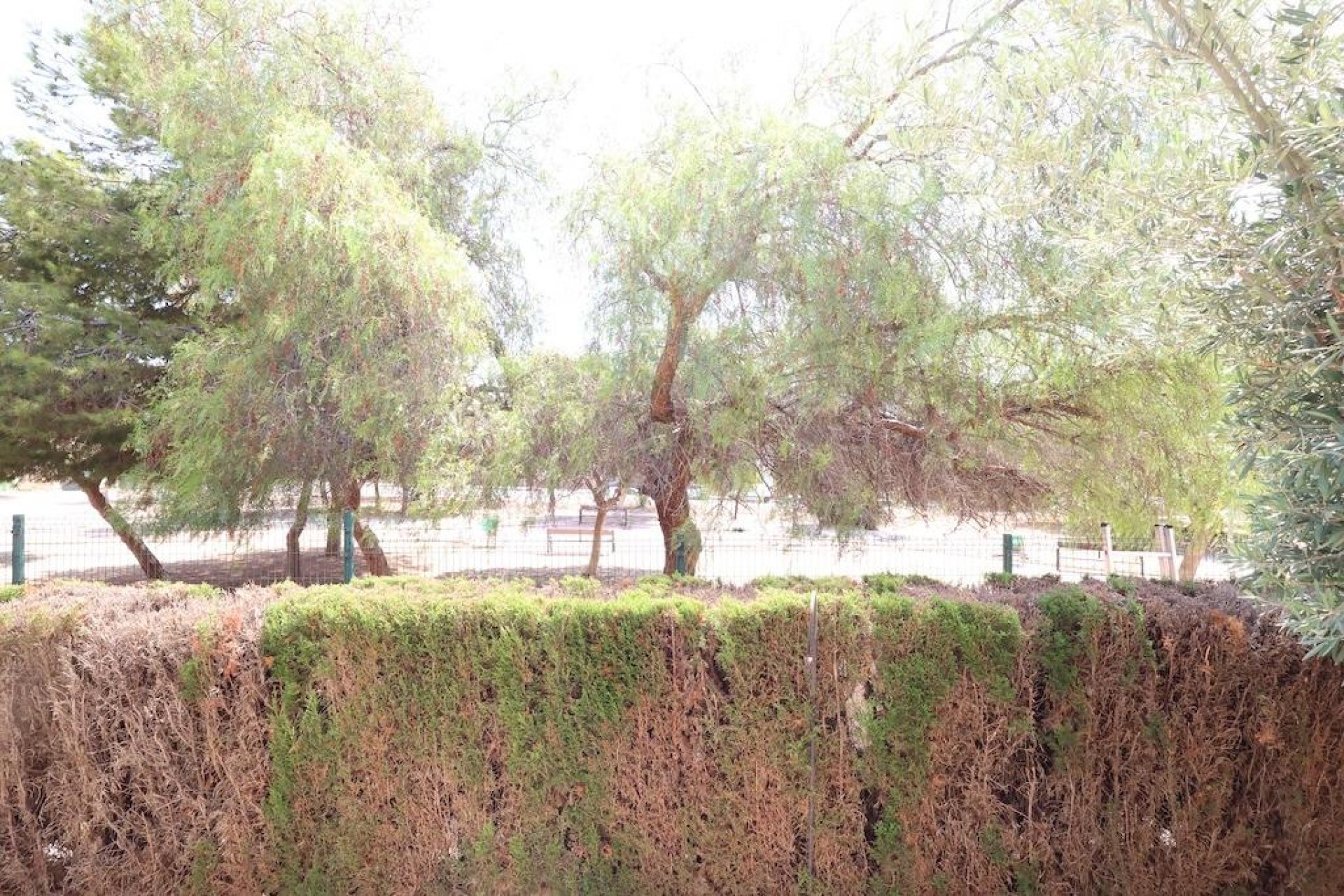 Resale - Bungalow - Orihuela Costa - Punta Prima