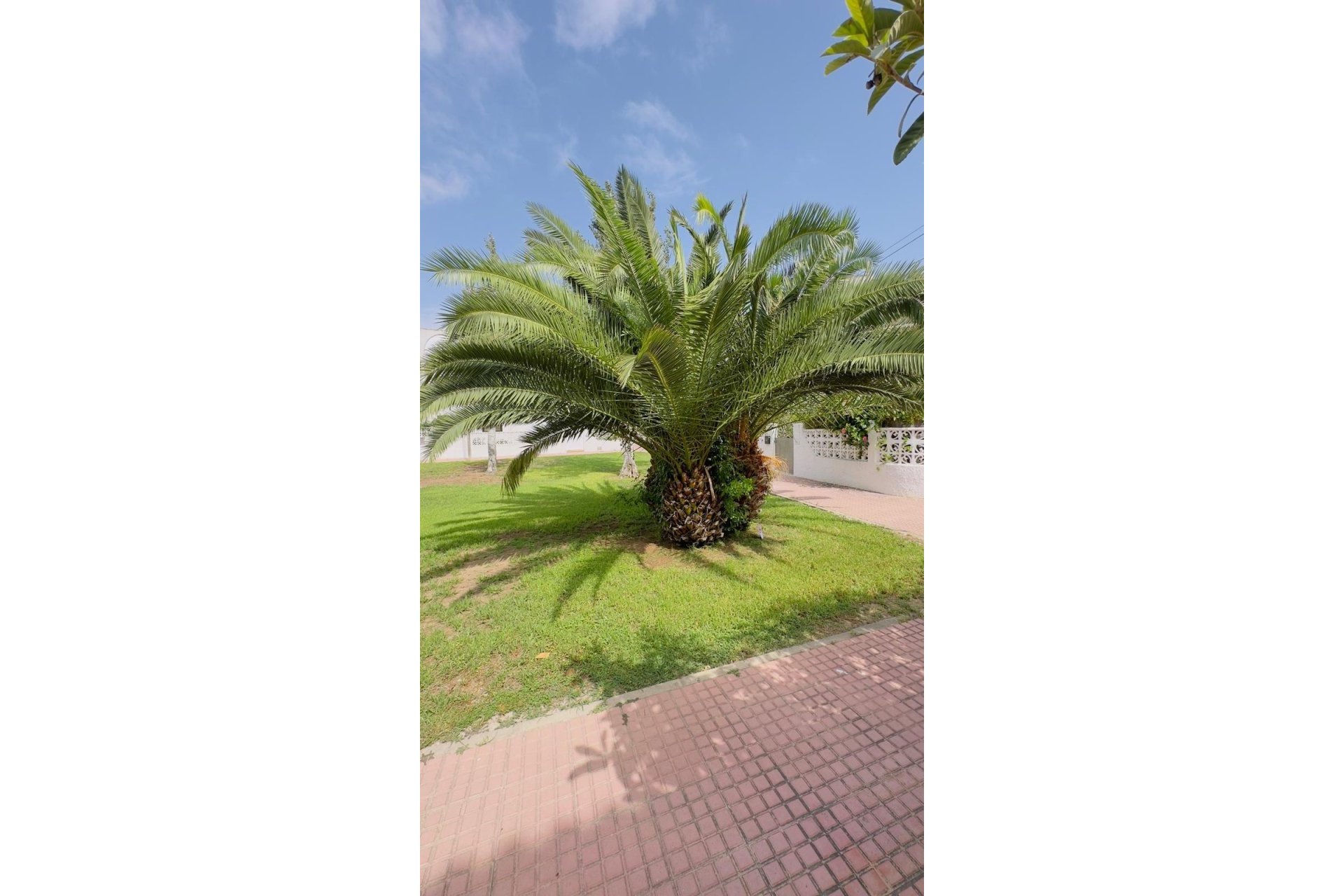 Resale - Bungalow - Torrevieja - Calas blanca