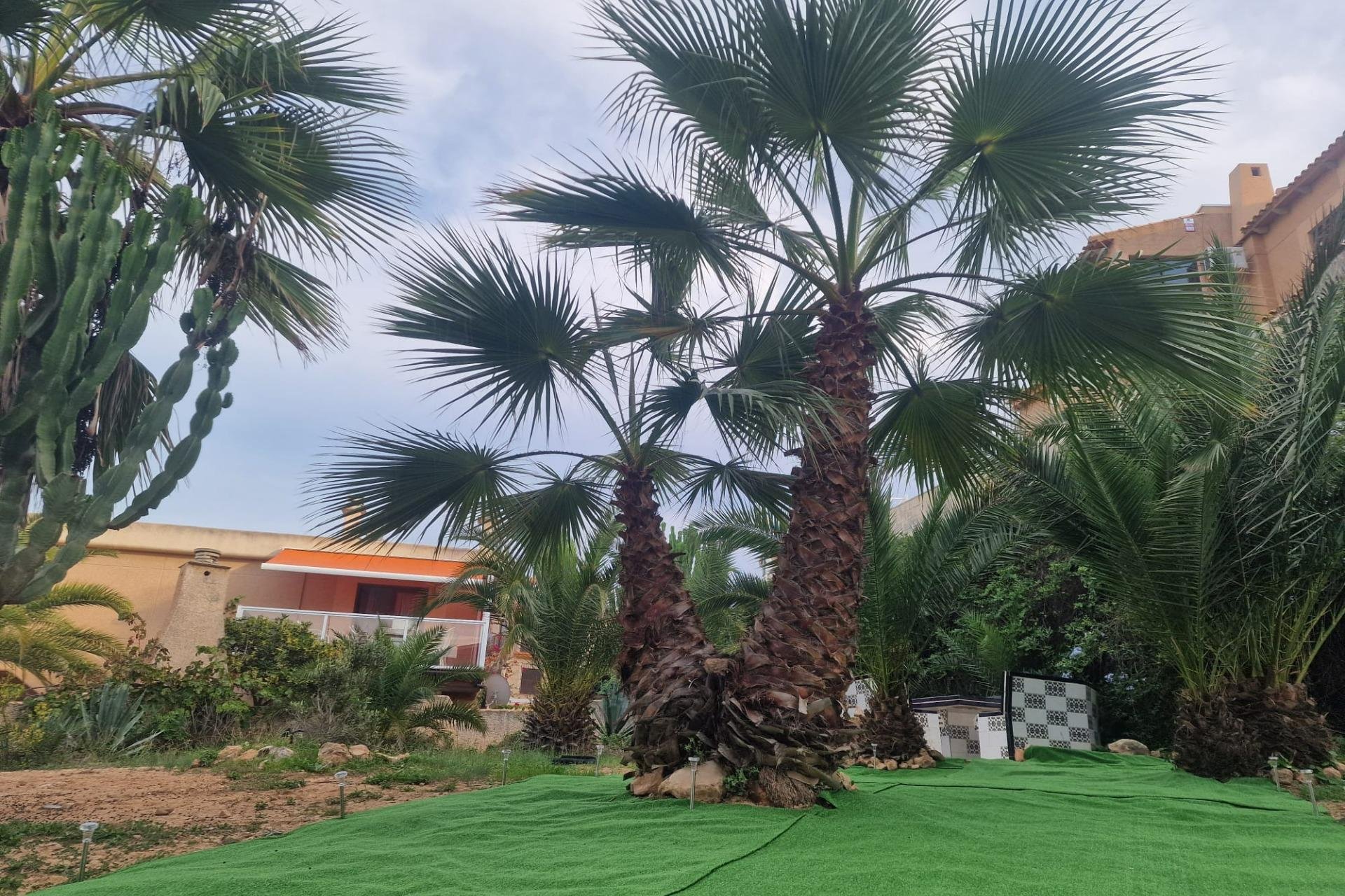 Resale - Bungalow - Torrevieja - La Mata