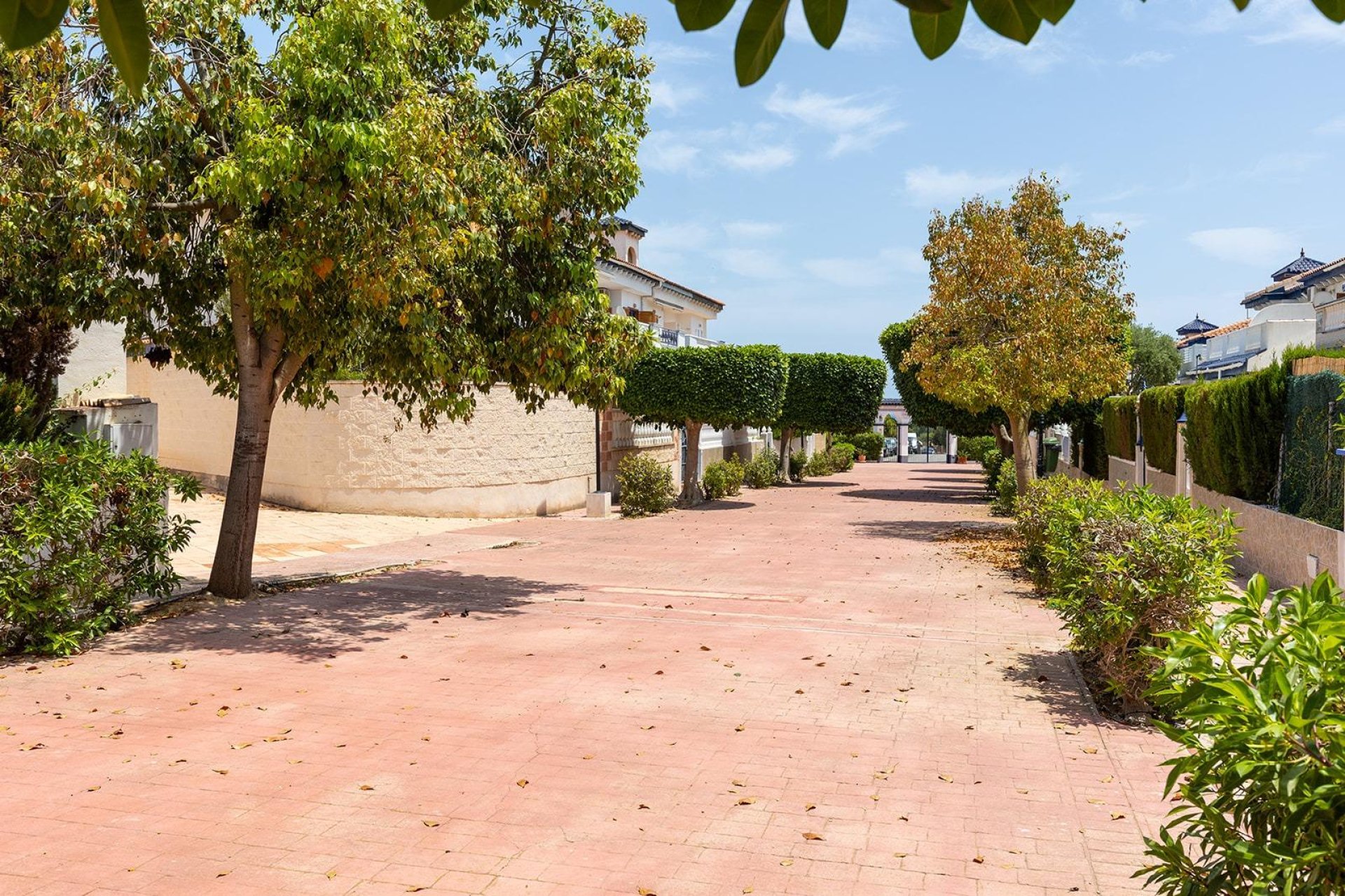 Resale - Bungalow - Torrevieja - La Mata