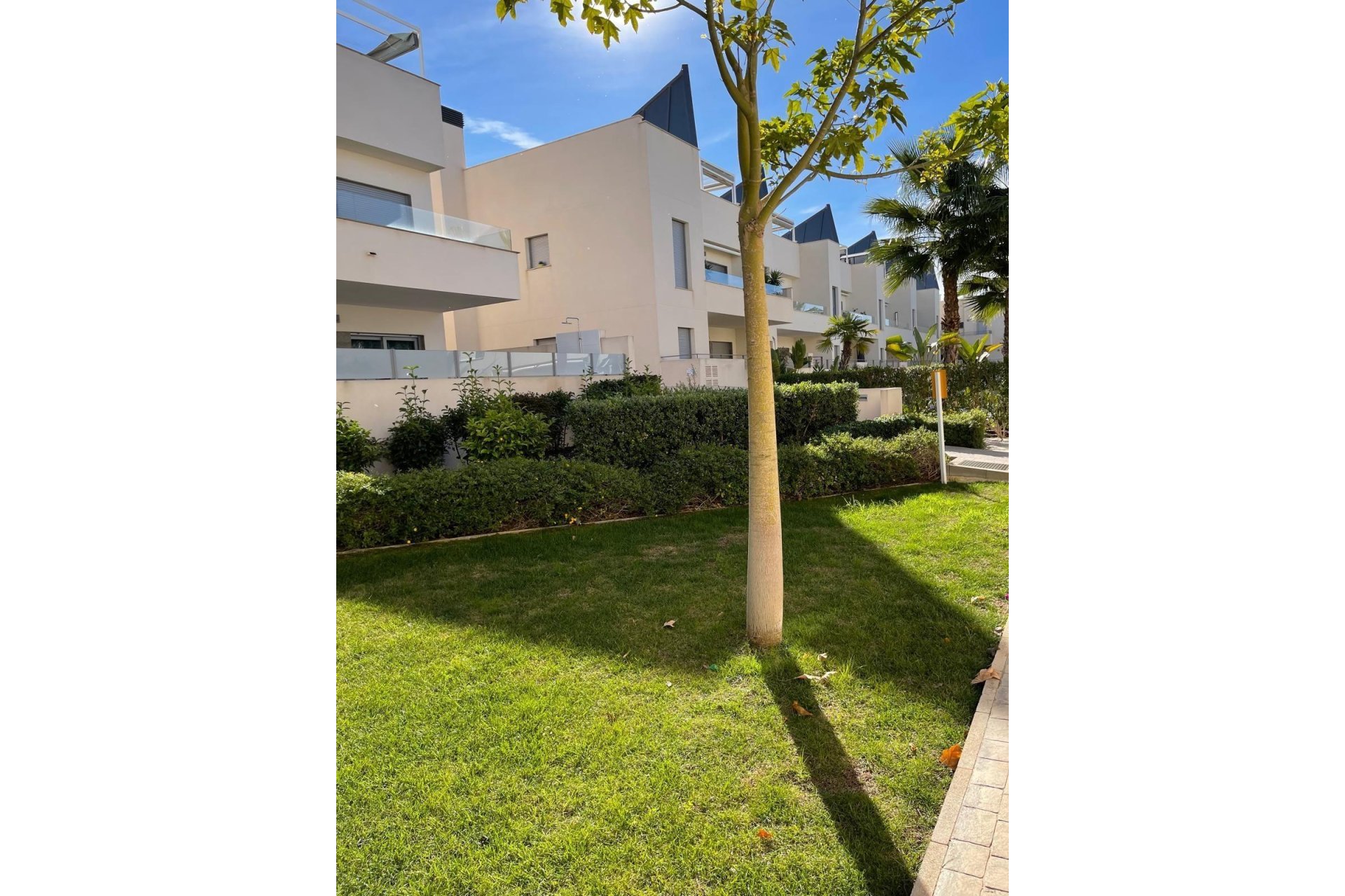 Resale - Bungalow - Torrevieja - La veleta