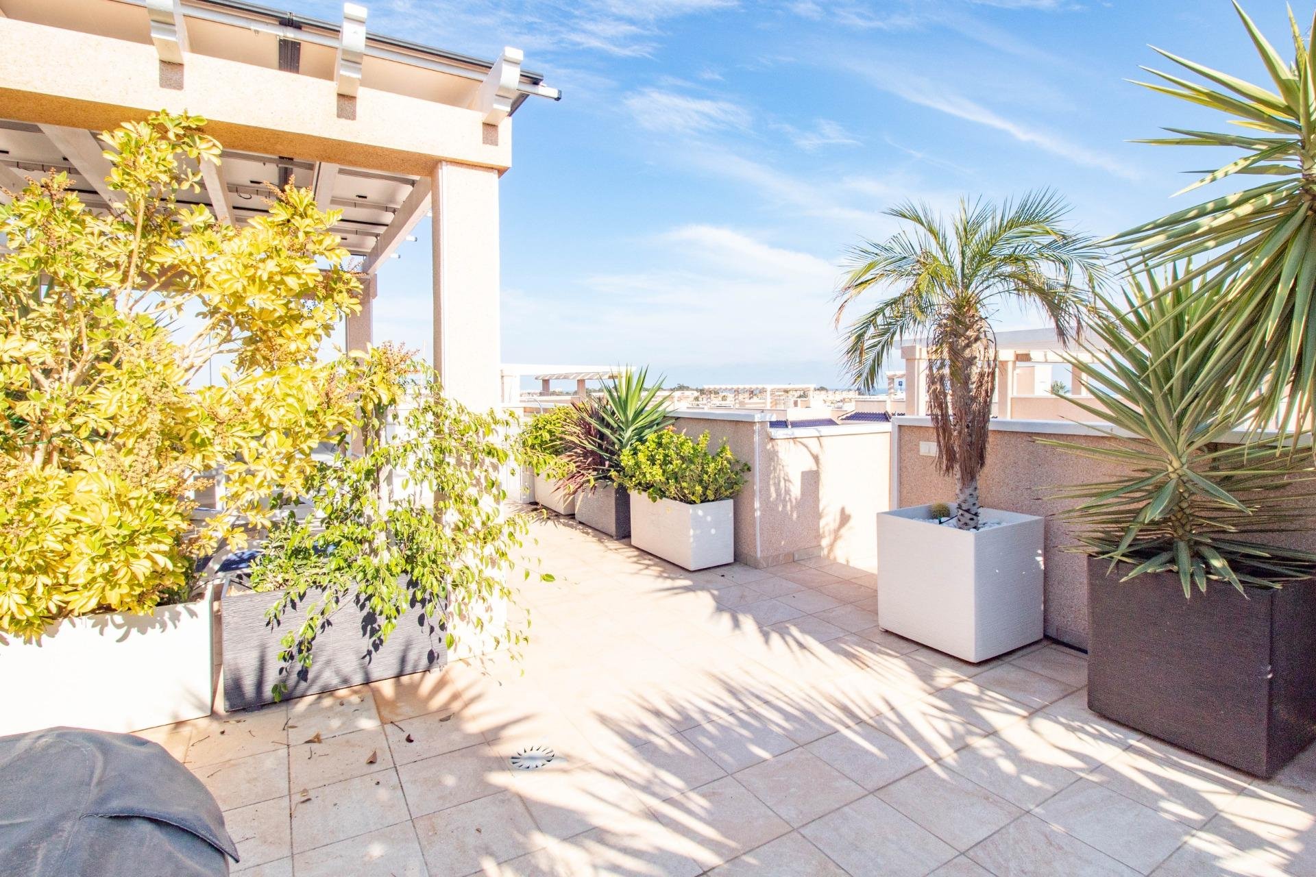 Resale - Bungalow - Torrevieja - Punta prima