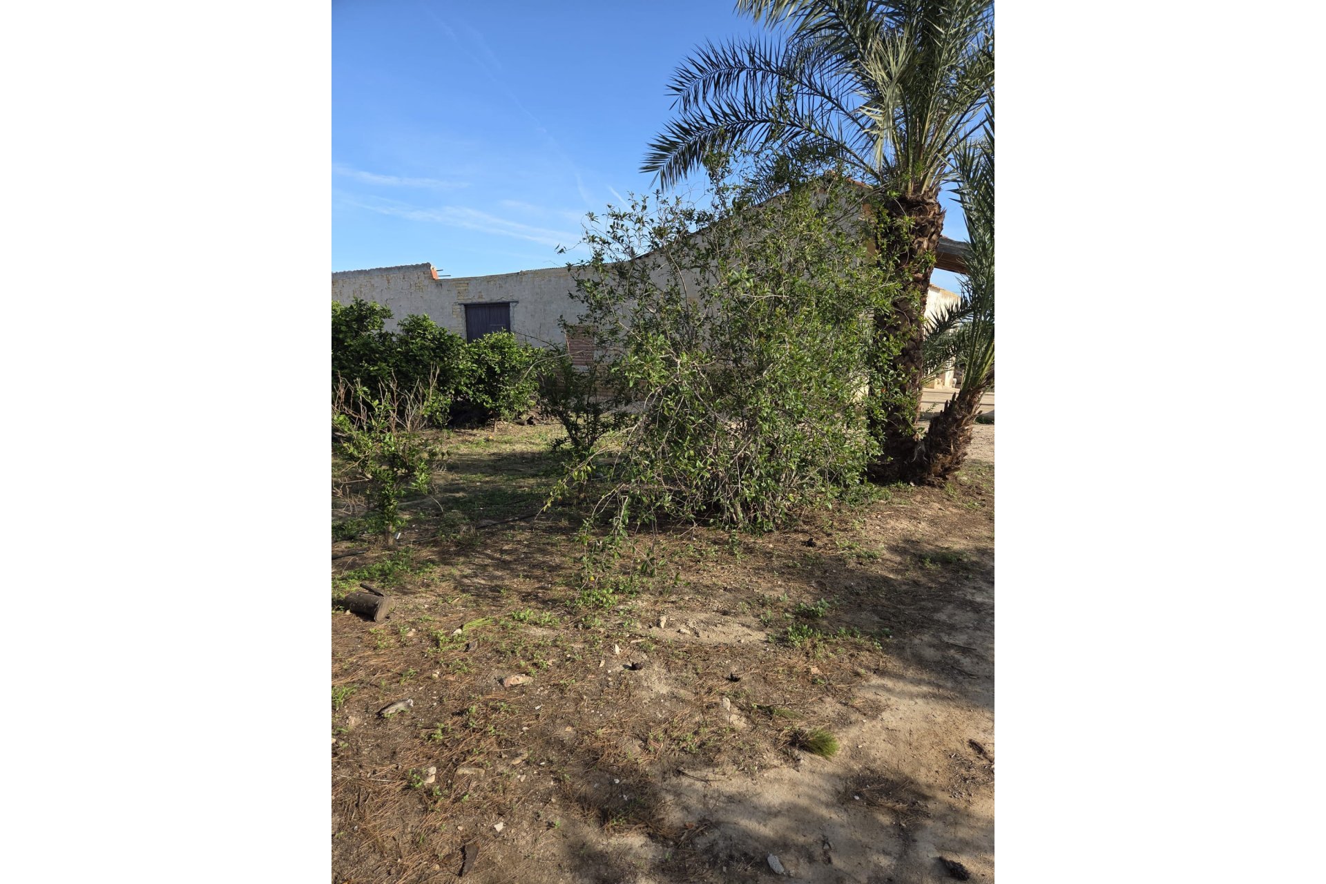 Resale - Casa - Albatera