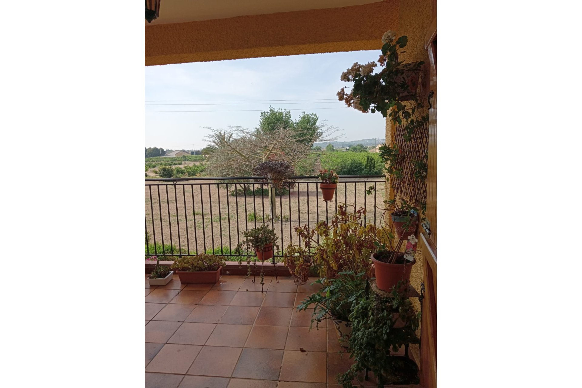 Resale - Casa o Chalet Independiente - Daya Nueva