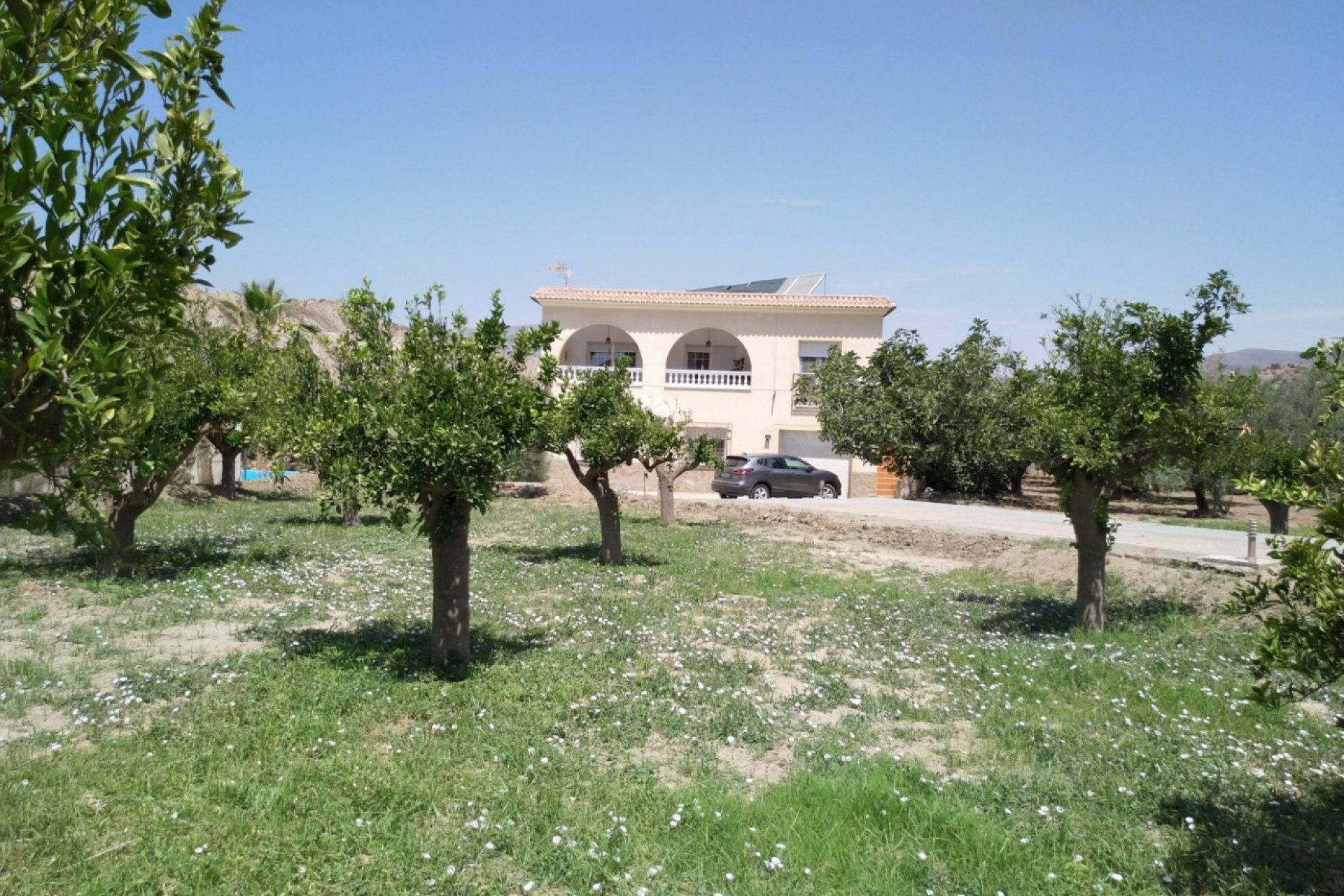 Resale - Country house - Alsodux - ALMERIA