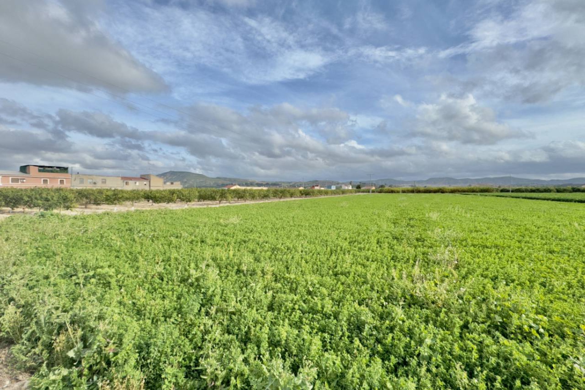 Resale - Finca / Country Property - Orihuela Costa - Orihuela