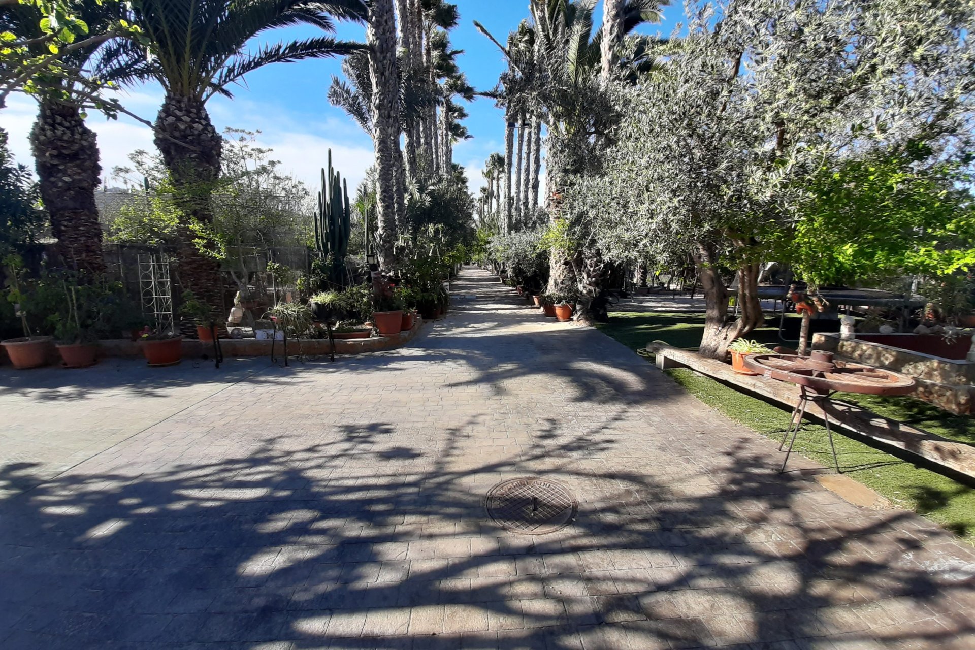 Resale - Finca - Orihuela