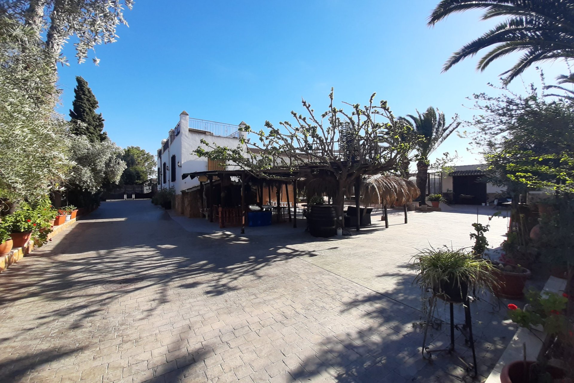 Resale - Finca - Orihuela