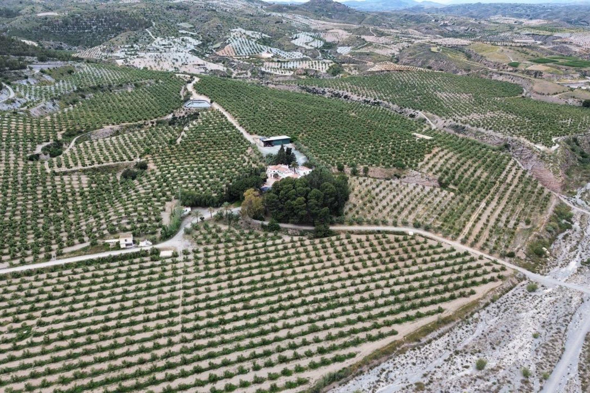 Resale - Olivar - Murcia - Rincón de Seca