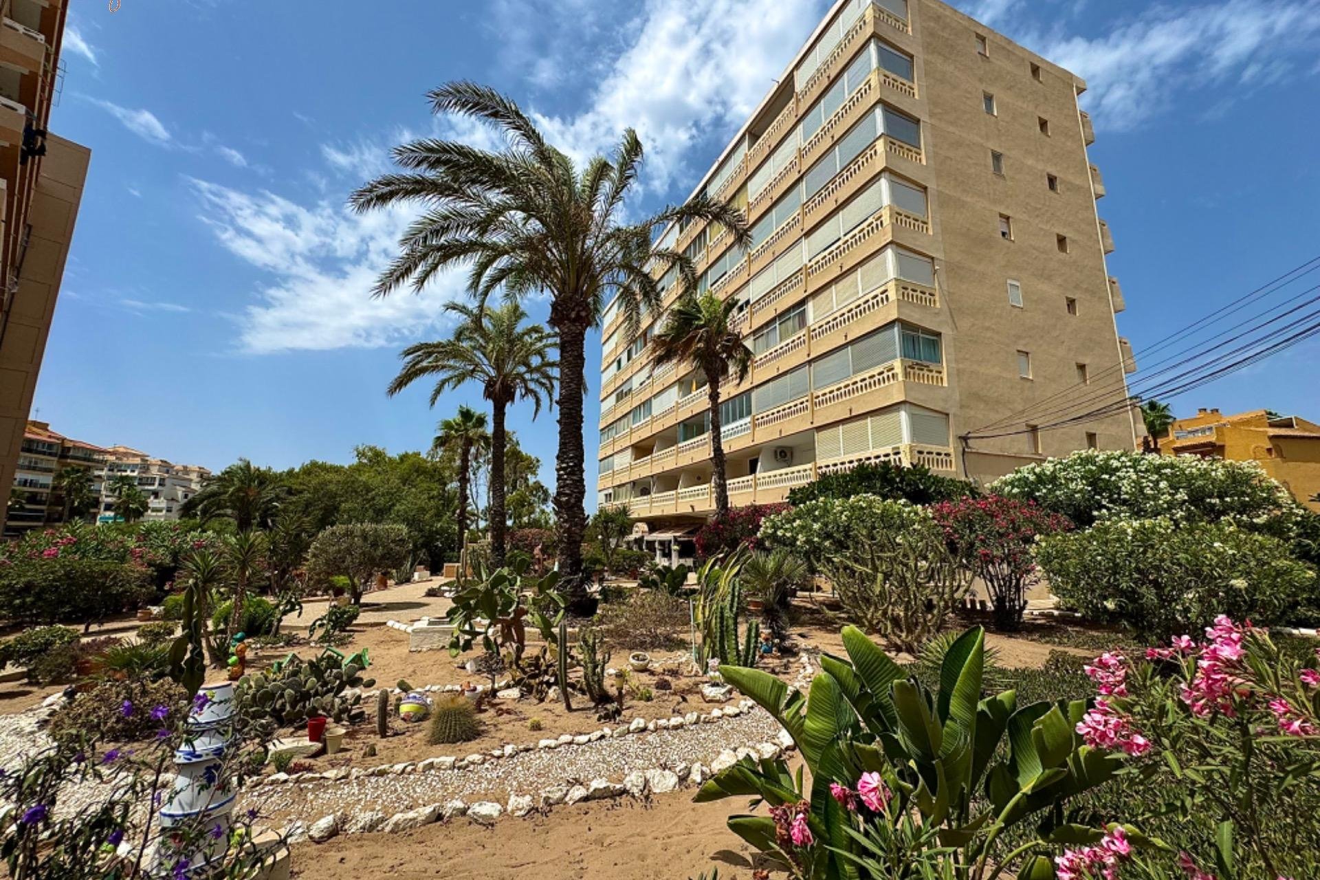 Resale - Penthouse - Torrevieja - La Mata