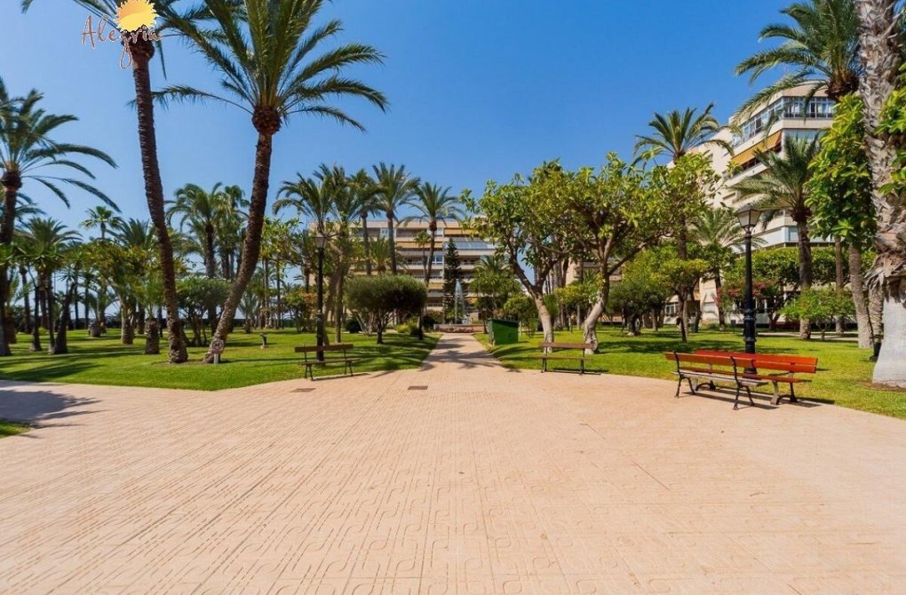 Resale - Penthouse - Torrevieja - Playa de los locos