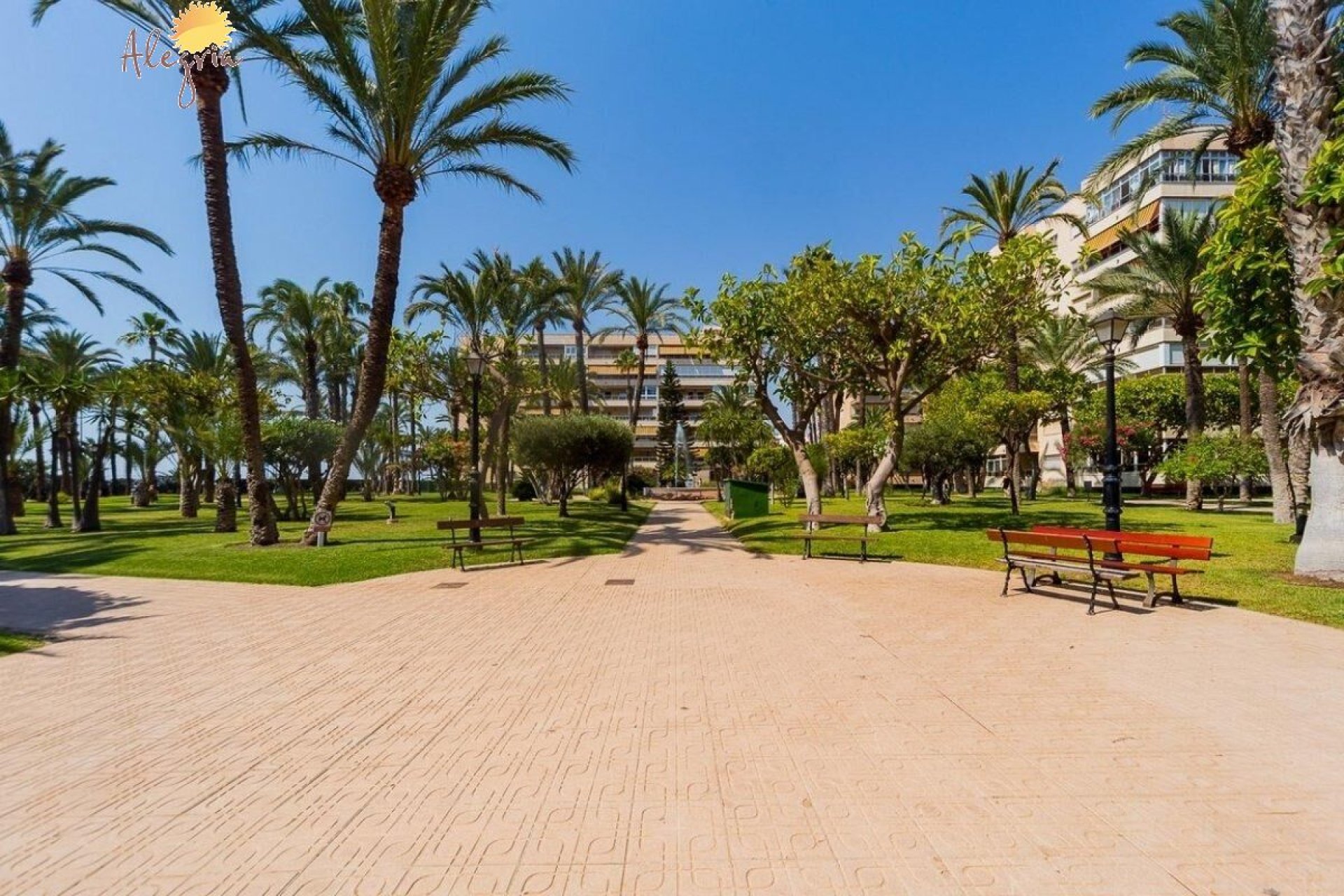 Resale - Penthouse - Torrevieja - Playa de los locos