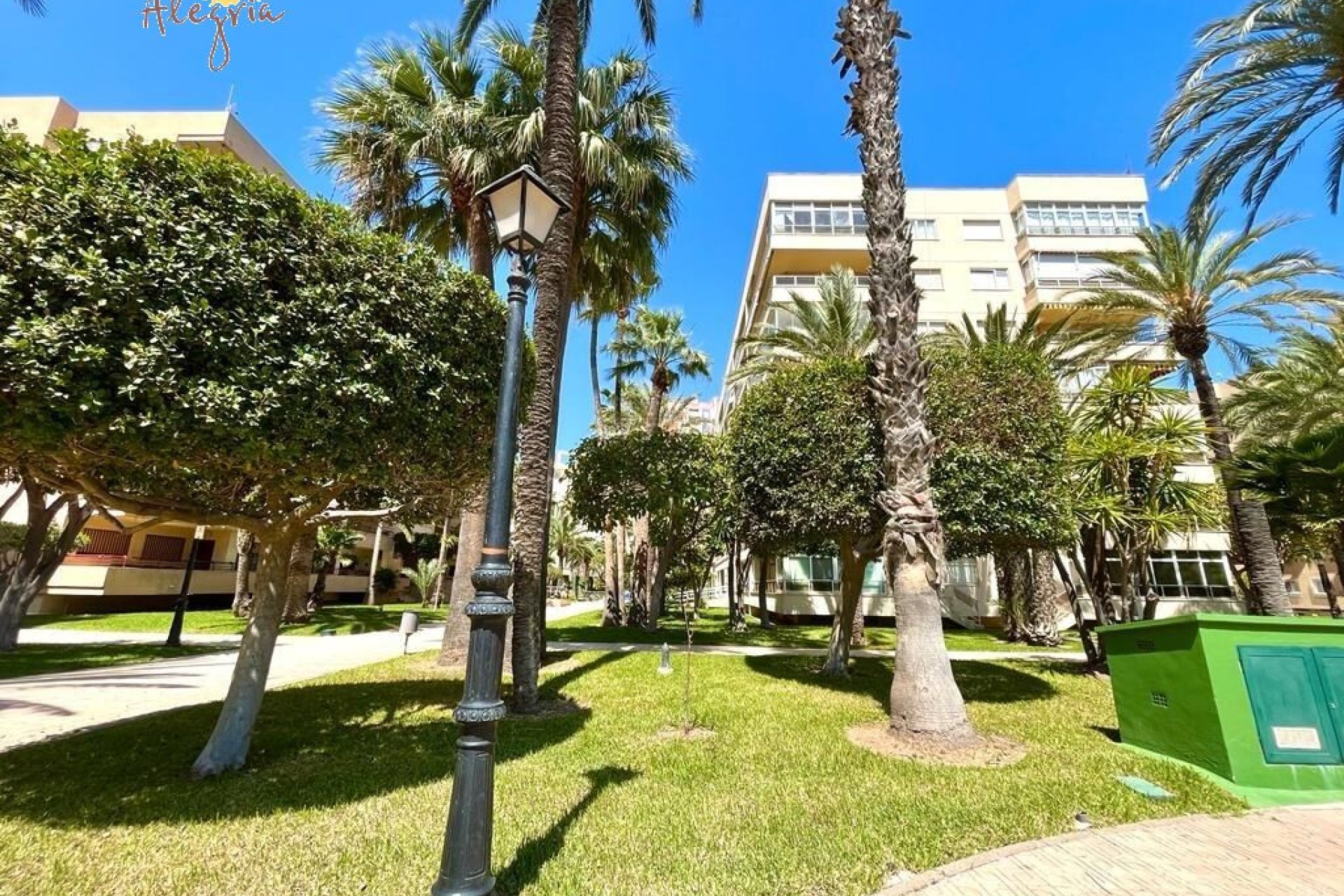 Resale - Penthouse - Torrevieja - Playa de los locos