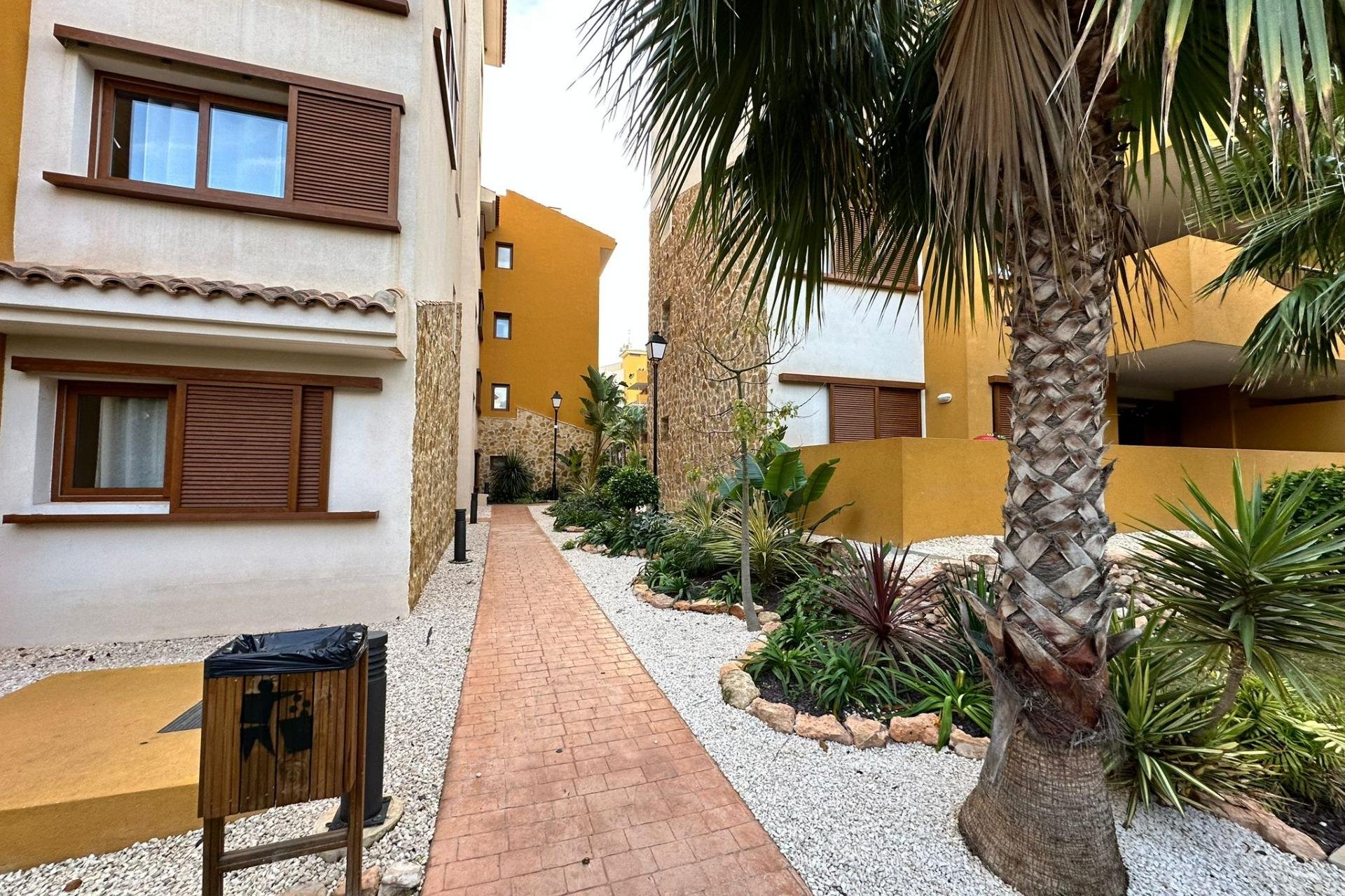 Resale - Penthouse - Torrevieja - Punta prima