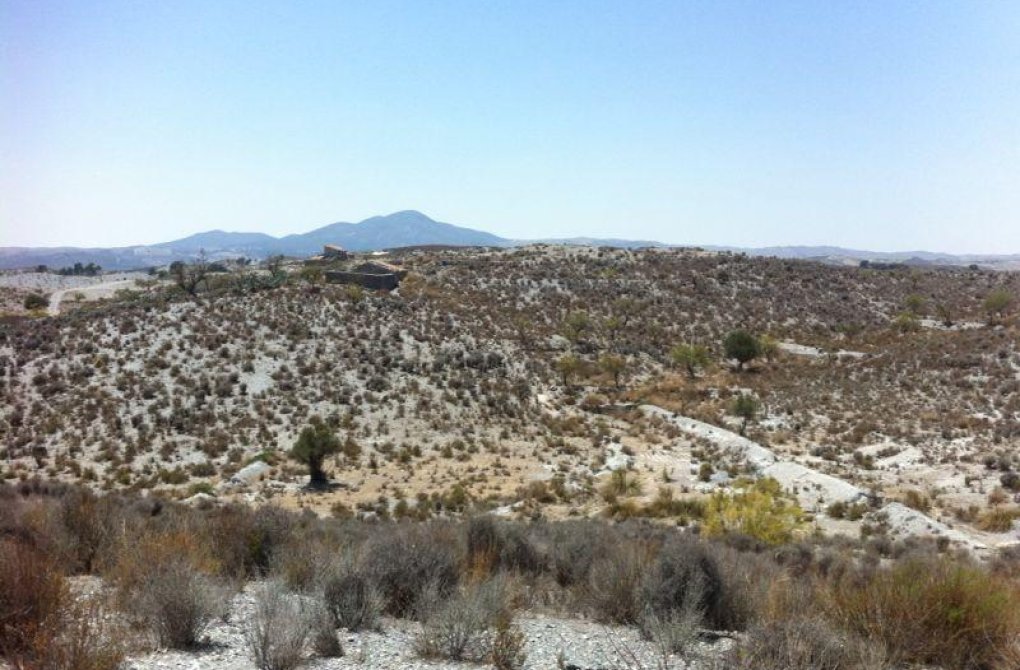 Resale - Plot - Lorca - La Hoya-Almendricos-Purias