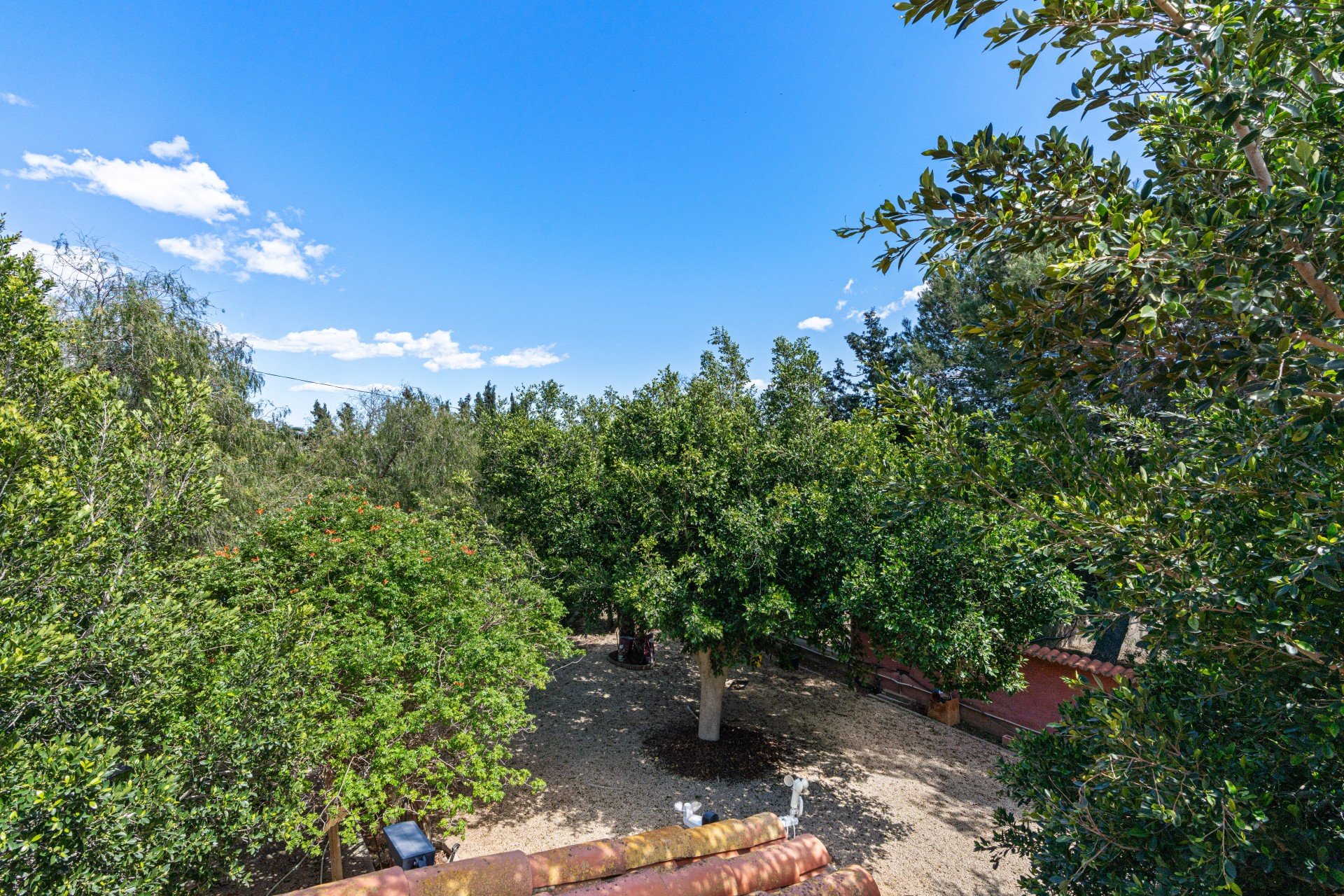 Resale - Villa - Altet - San Francisco de Asis