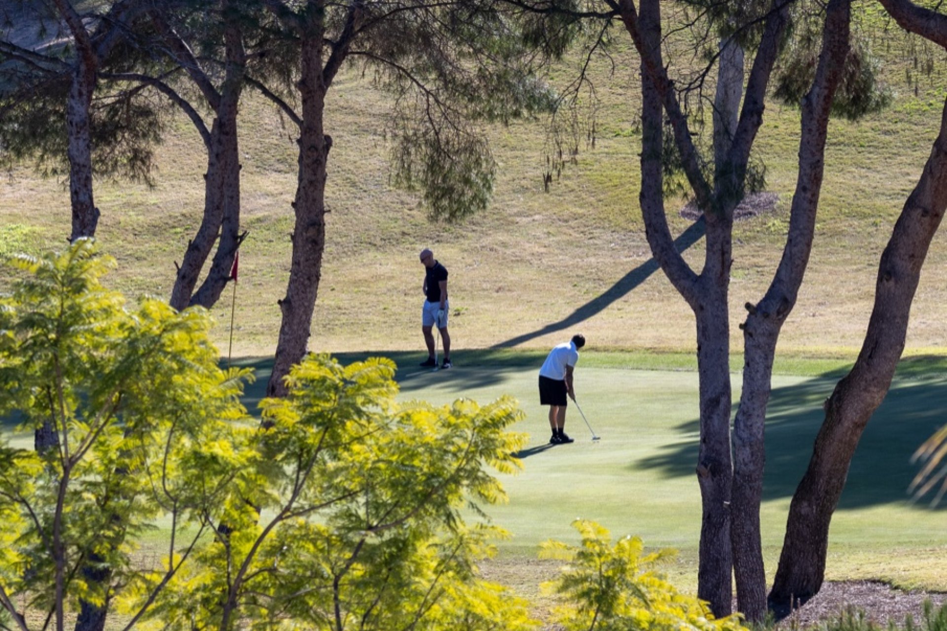 Resale - Villa - Las Ramblas