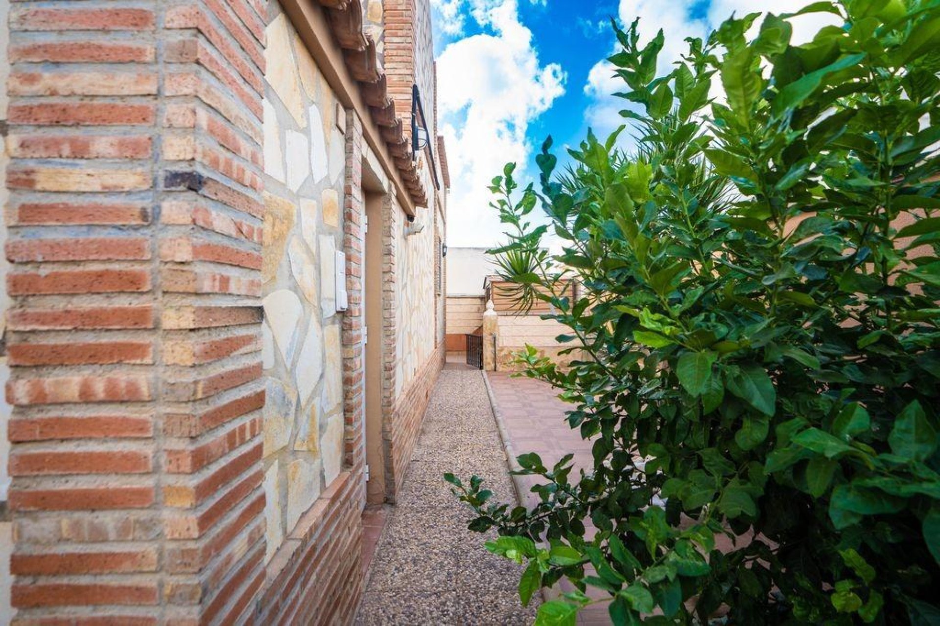 Resale - Villa - Orihuela Costa - Los Almendros-La Florida