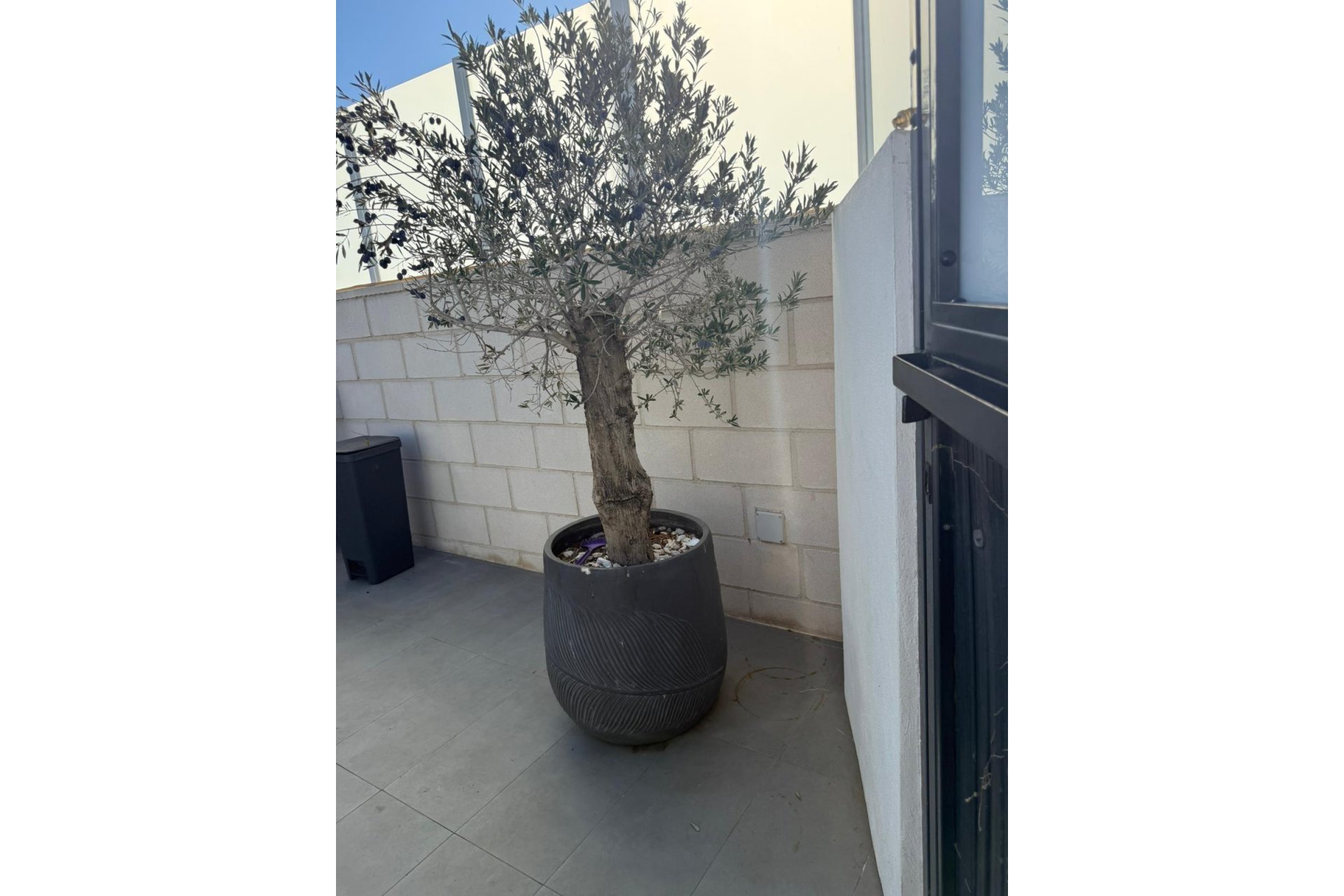 Resale - Villa - Orihuela Costa - PAU 26