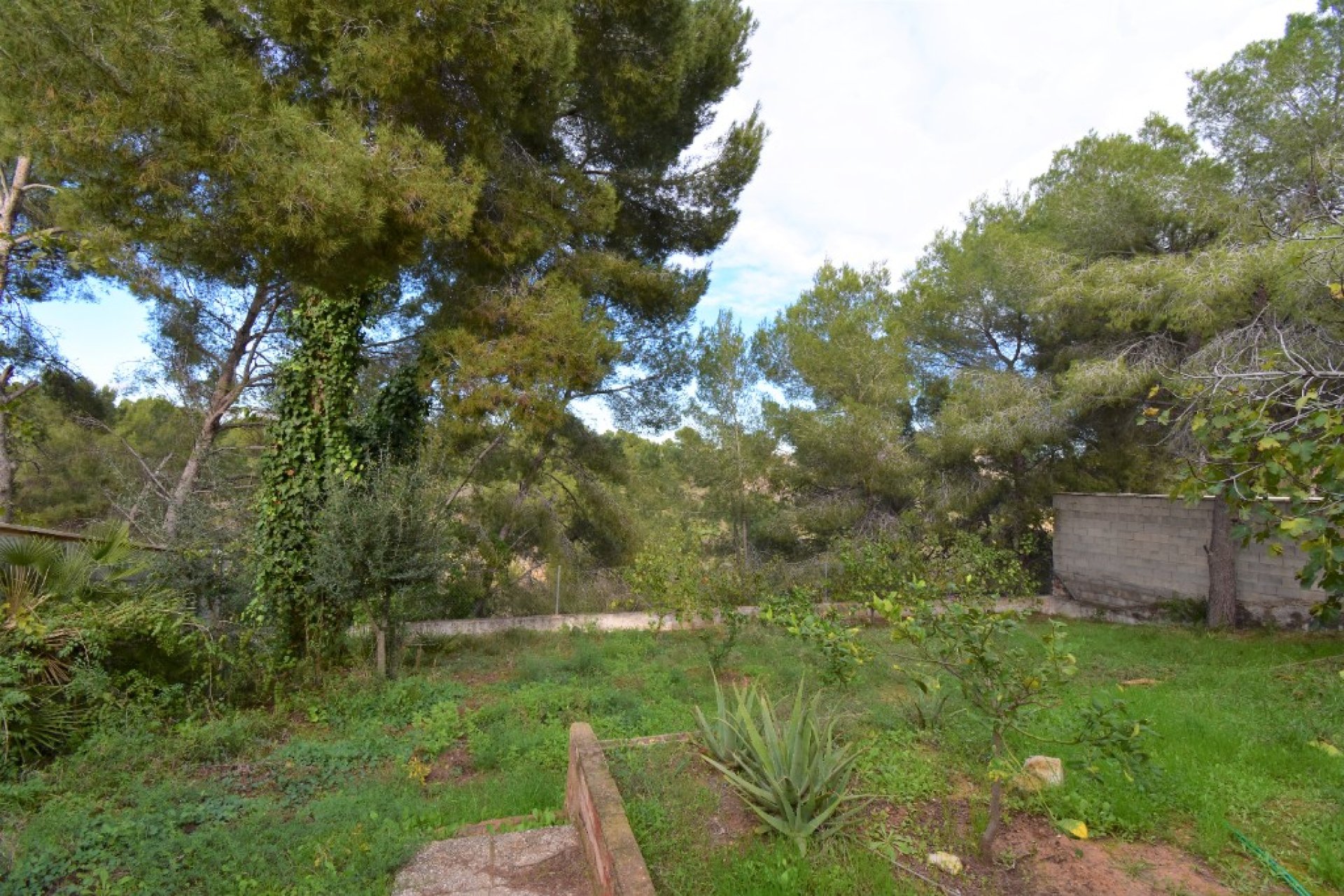 Resale - Villa - Pinar de Campoverde