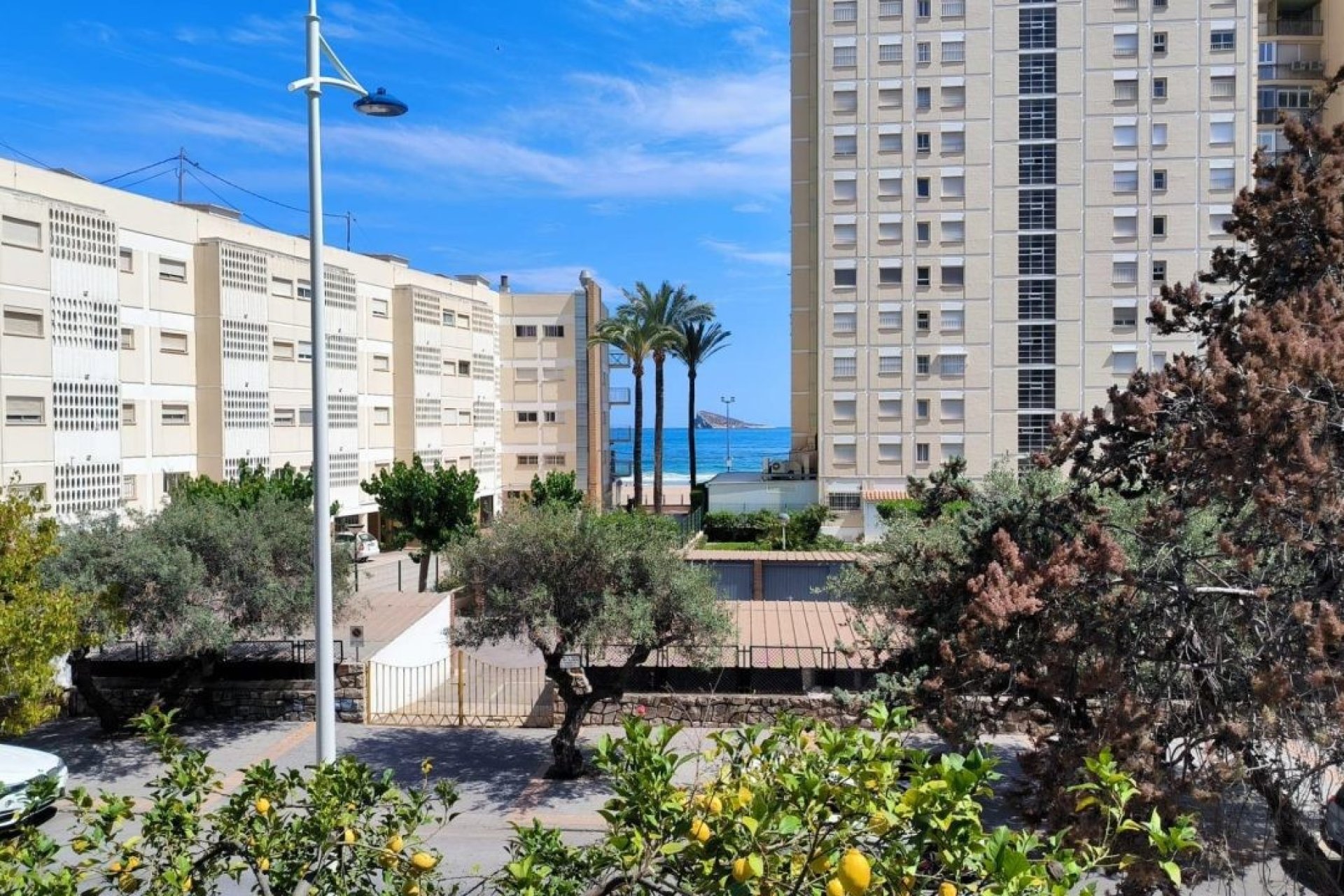 Reventa - Apartamento - Benidorm - Poniente