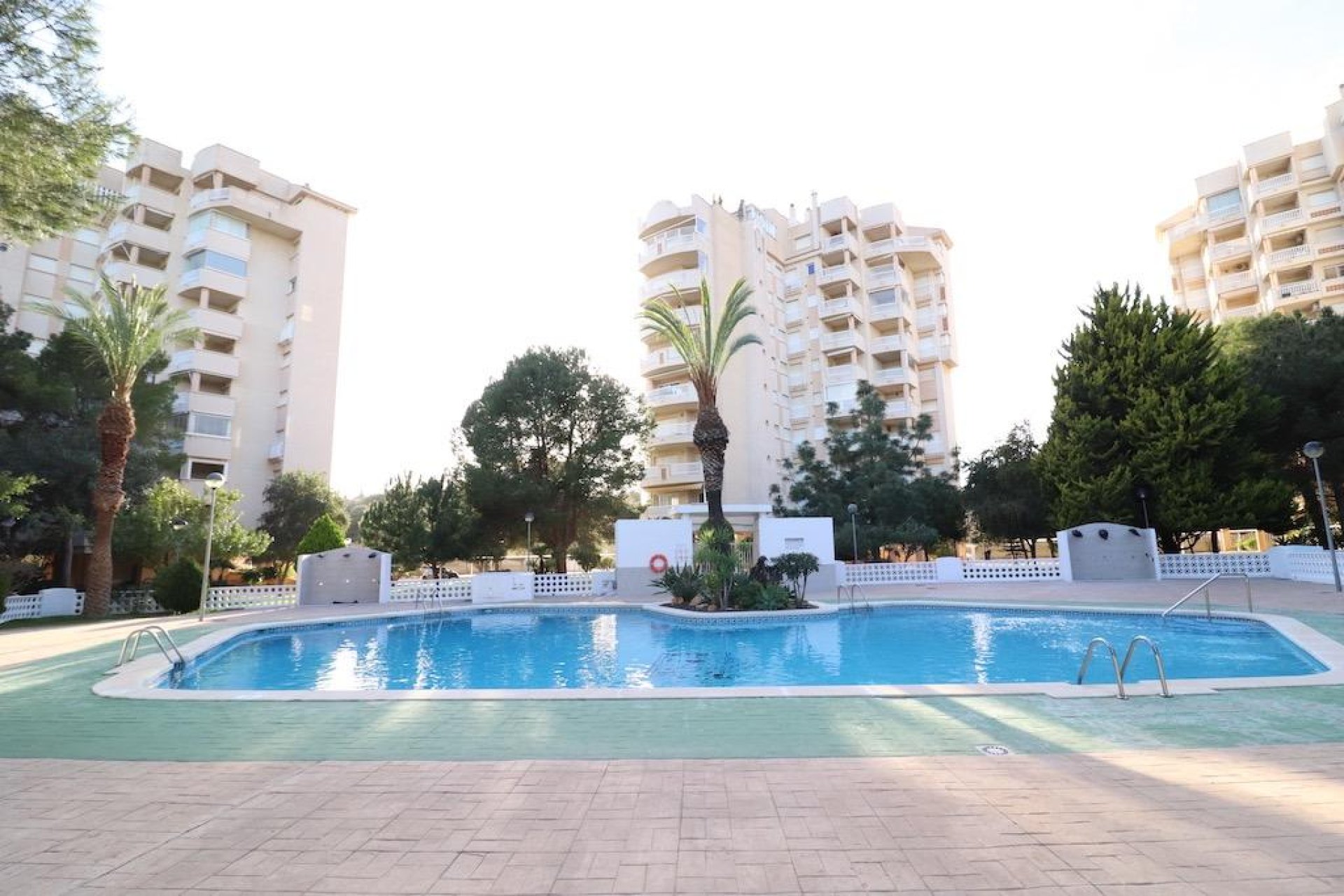 Reventa - Apartamento - Orihuela Costa - Campoamor