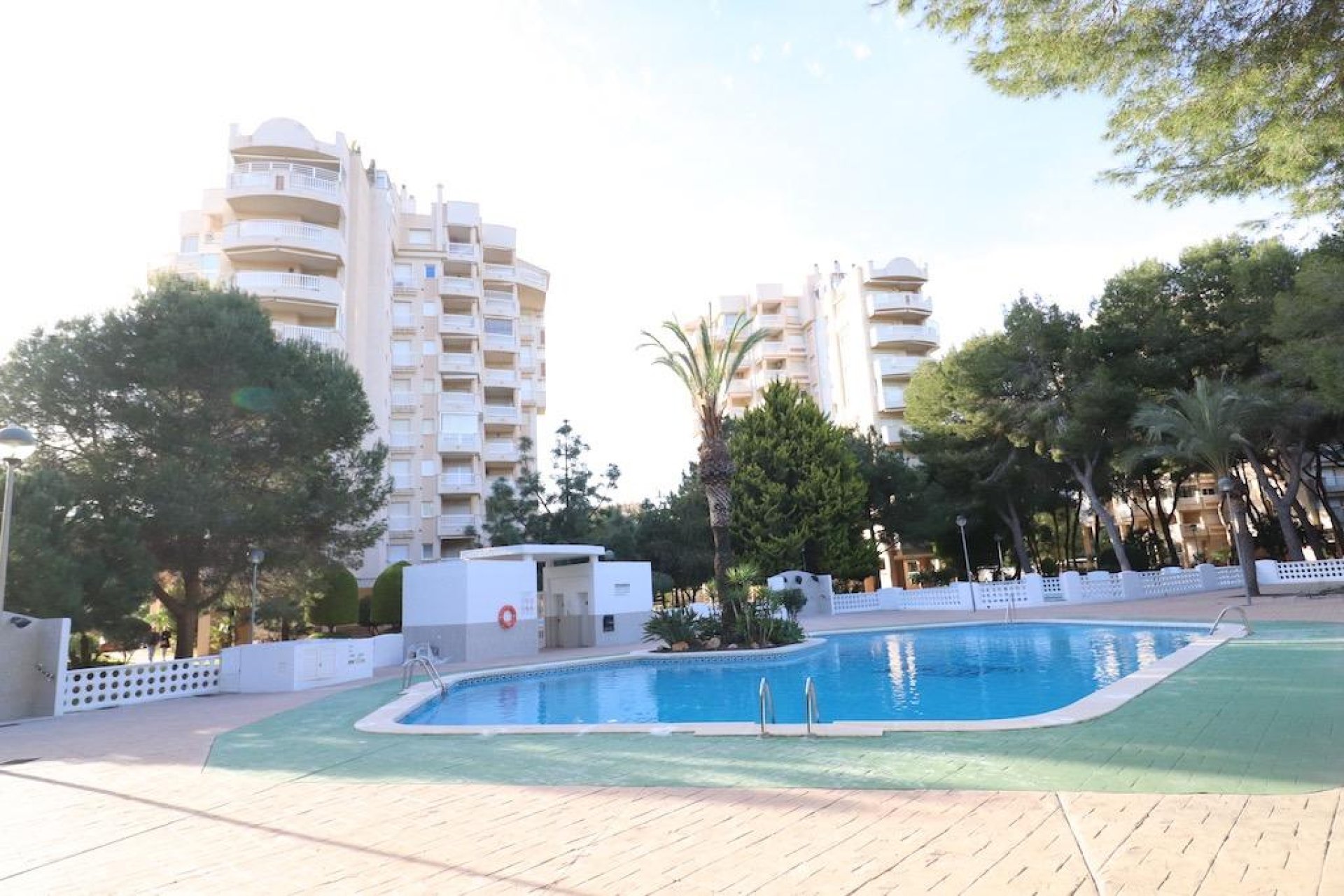 Reventa - Apartamento - Orihuela Costa - Campoamor