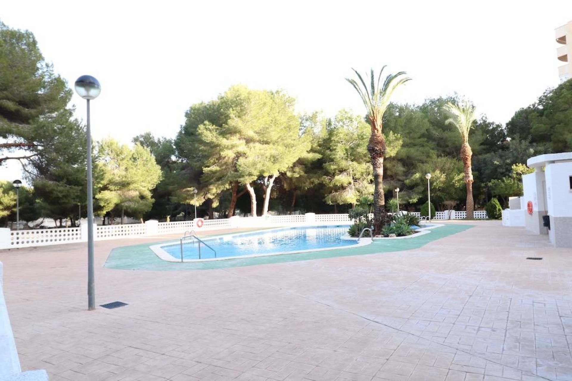 Reventa - Apartamento - Orihuela Costa - Campoamor