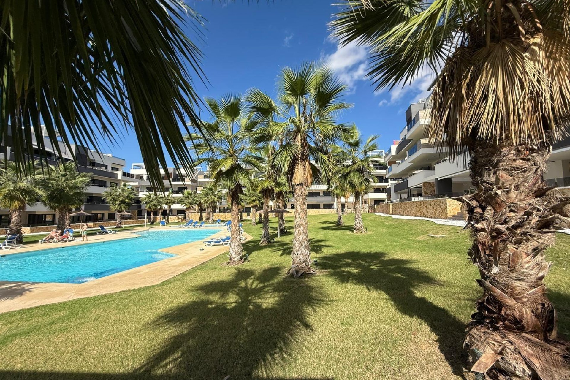 Reventa - Apartamento - Orihuela Costa - PAU 8