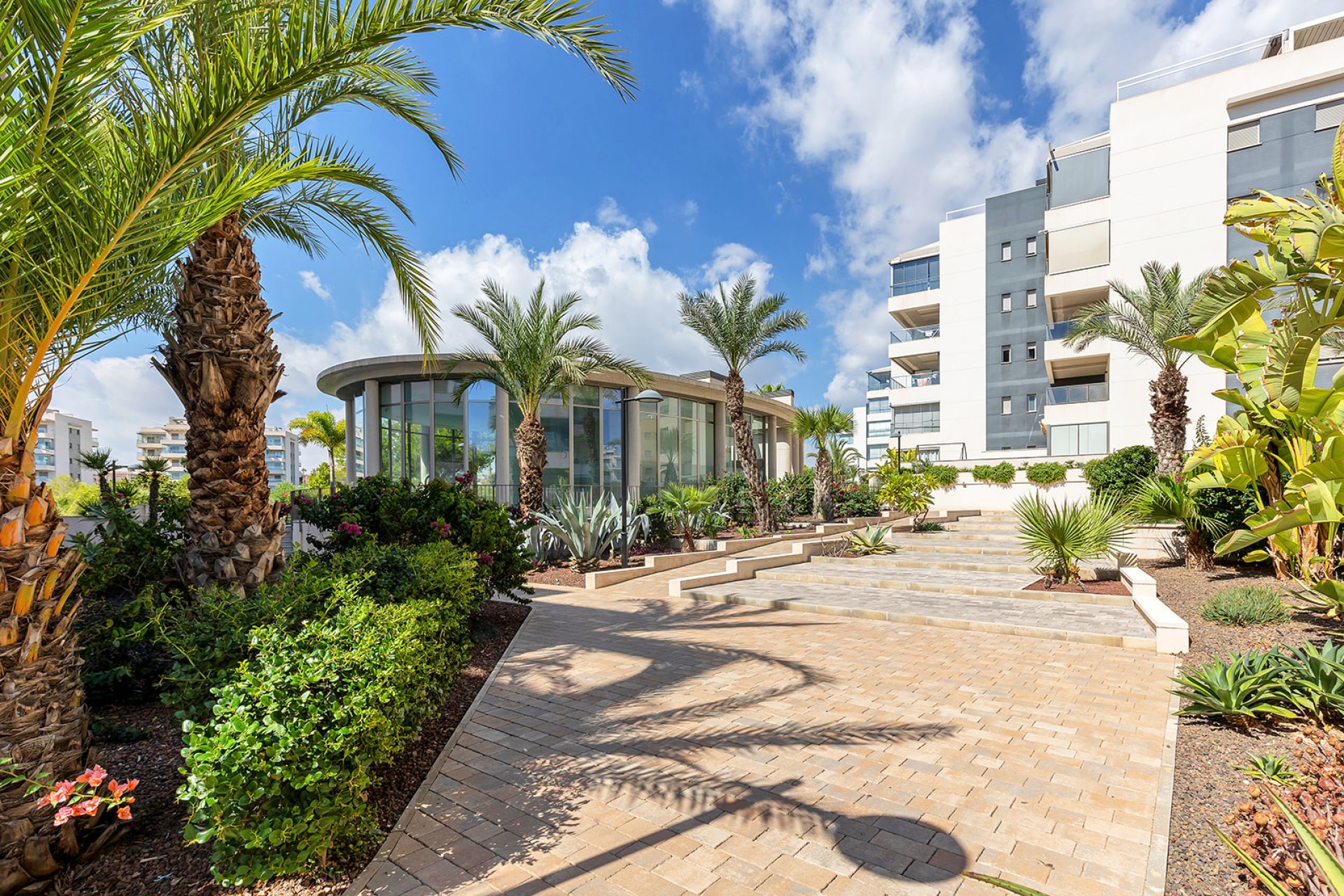 Reventa - Apartamento - Orihuela Costa - Villamartin