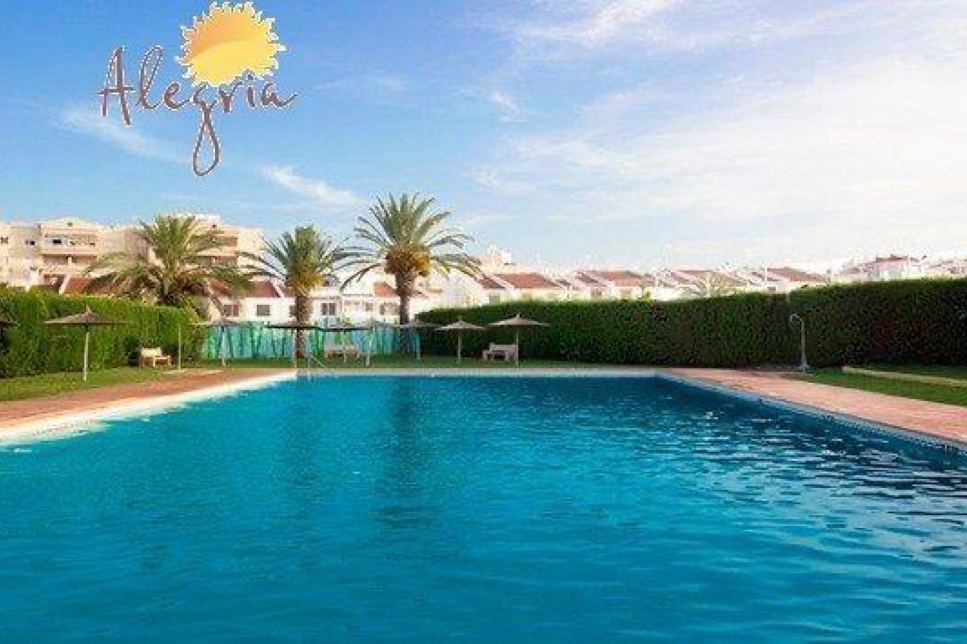 Reventa - Apartamento - Torrevieja - Calas blanca