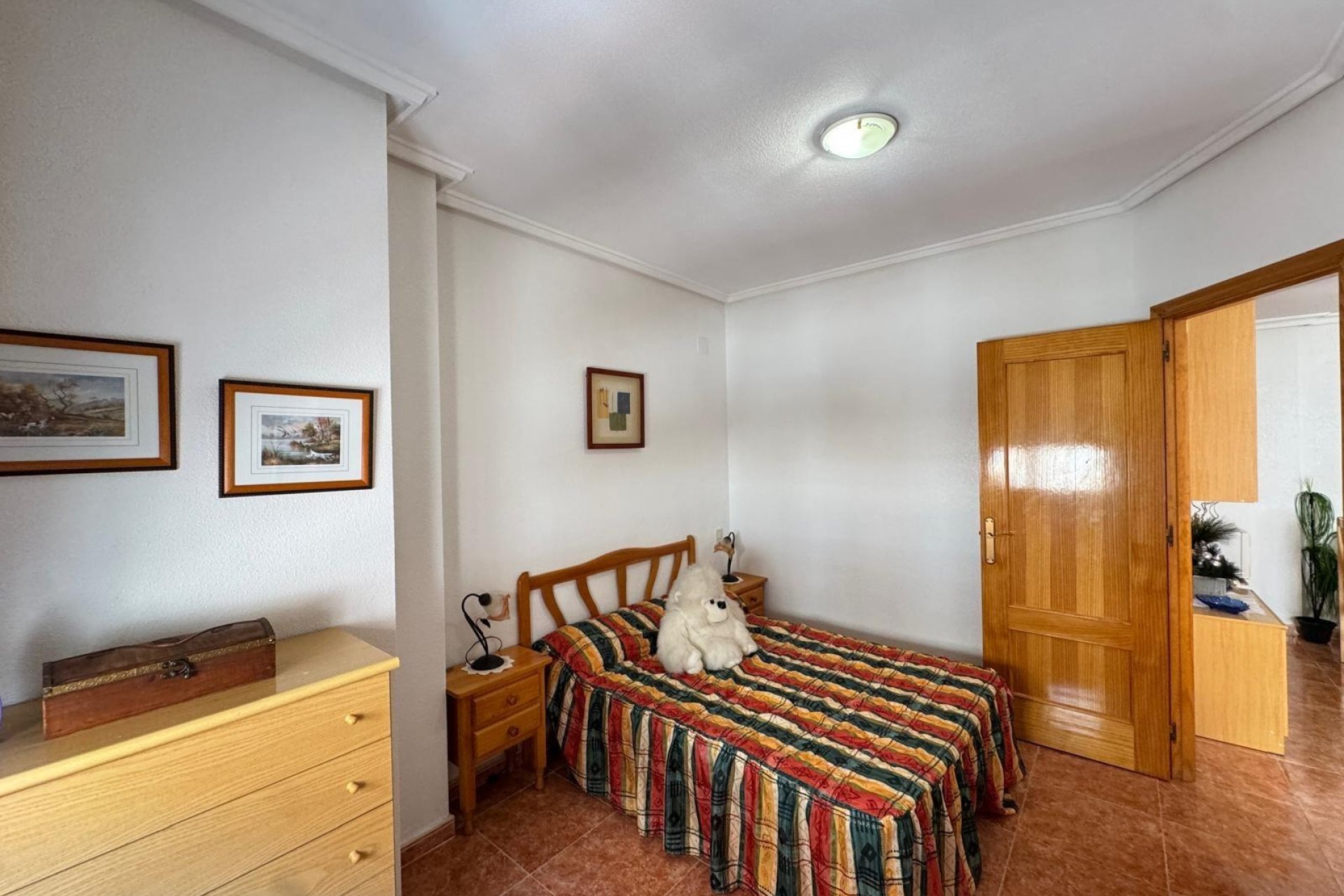 Reventa - Apartamento - Torrevieja - Estacion de autobuses