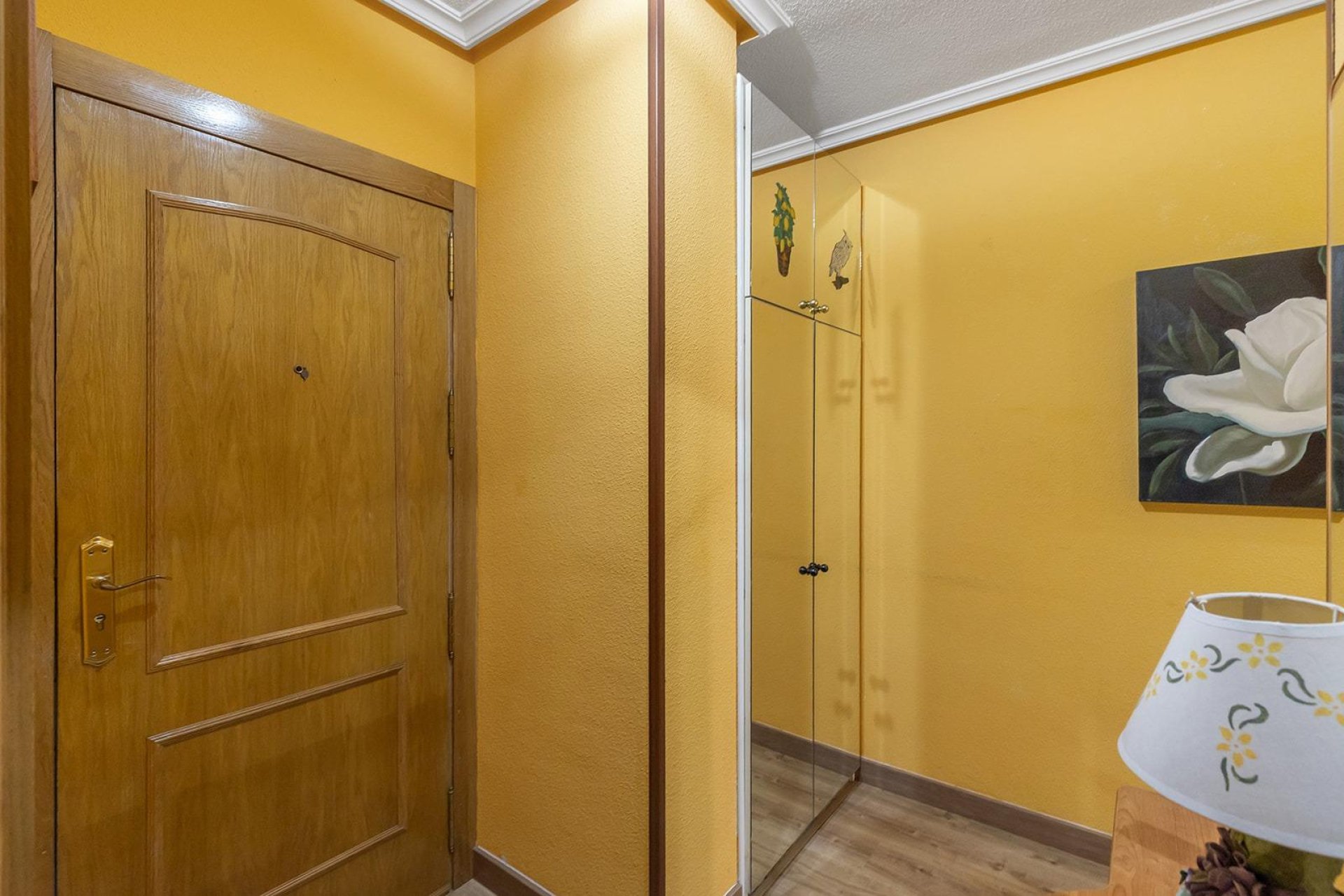 Reventa - Apartamento - Torrevieja - Estacion de autobuses