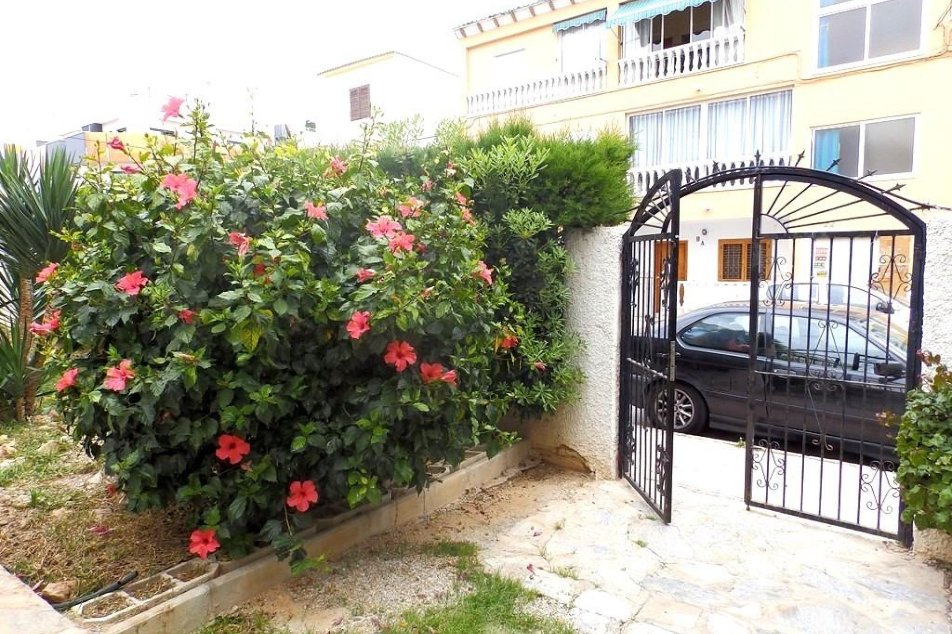 Reventa - Apartamento - Torrevieja - Habaneras