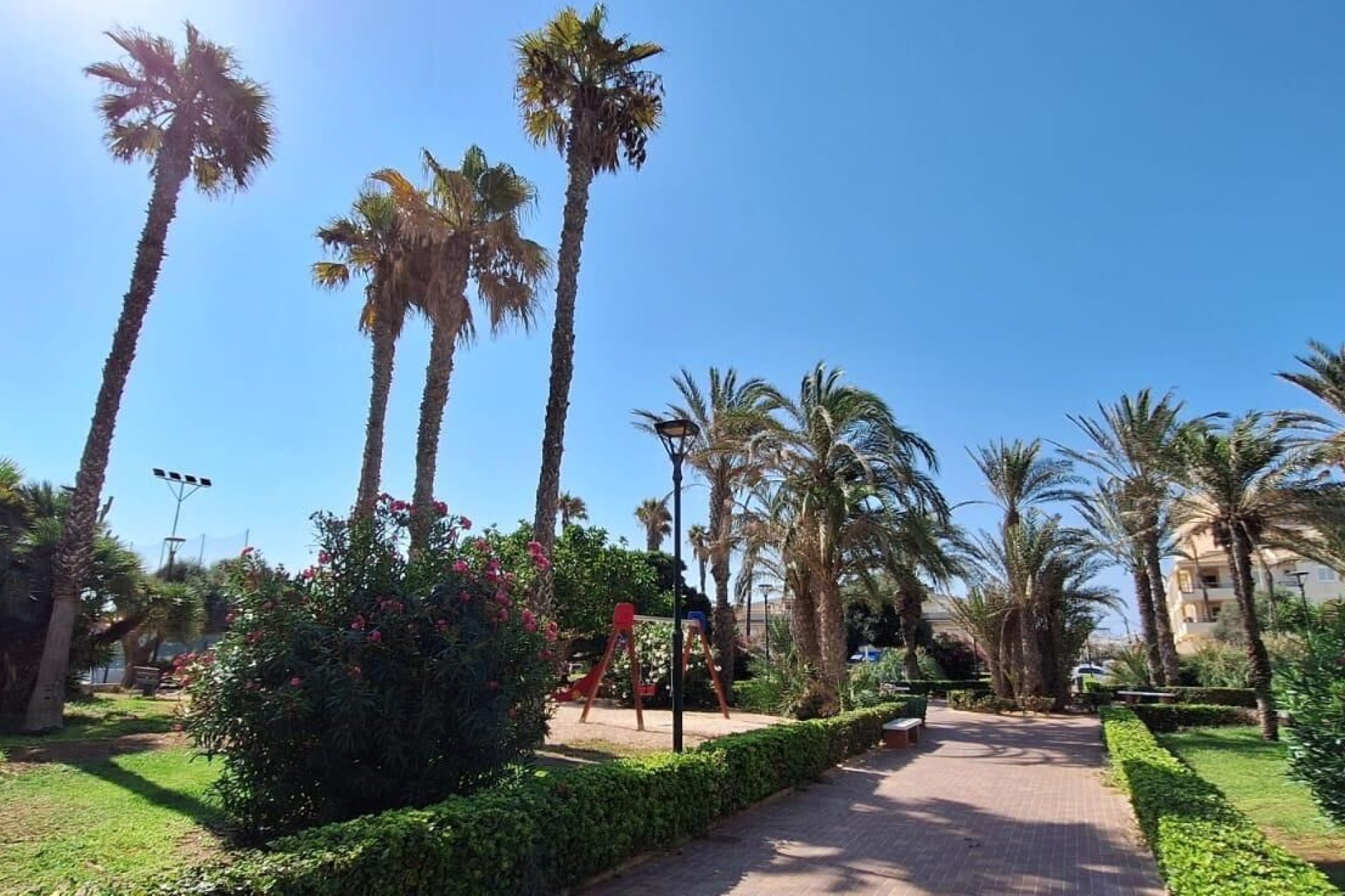 Reventa - Apartamento - Torrevieja - La Mata